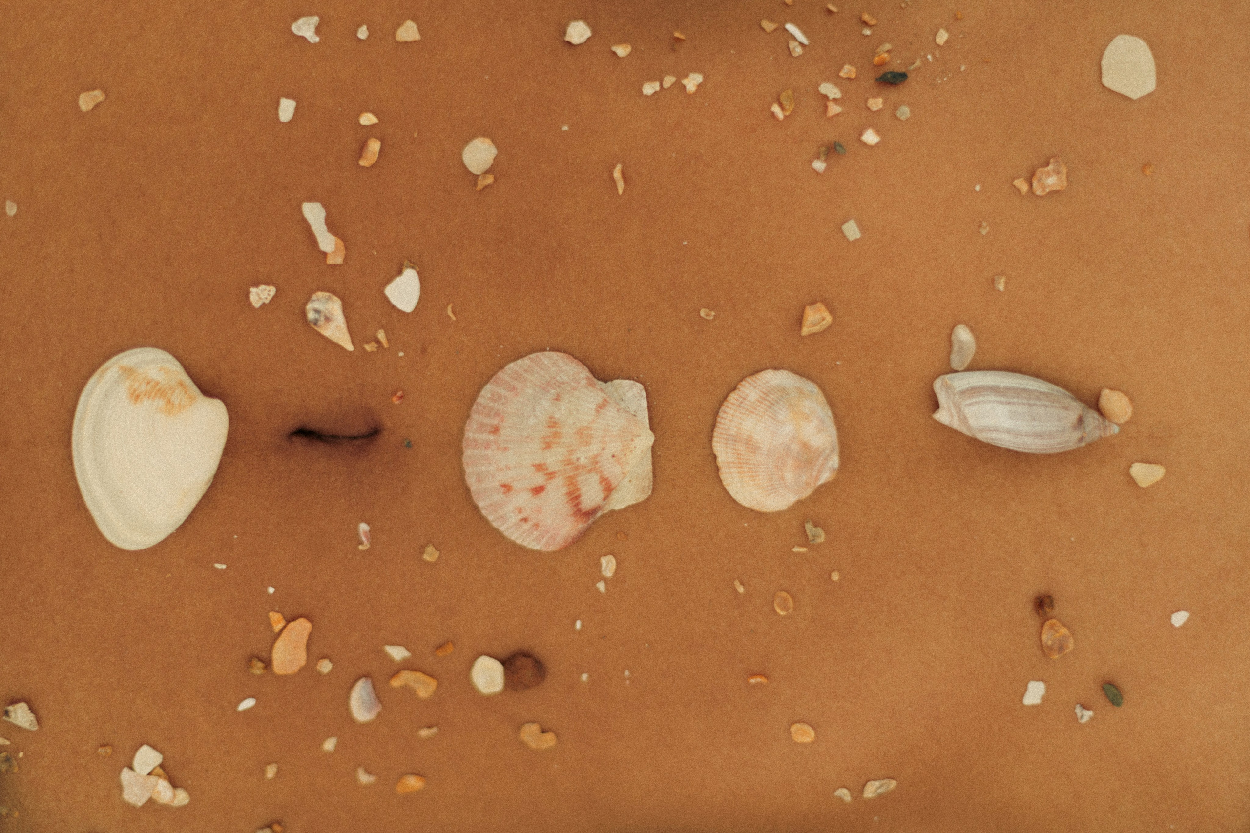 Nathalie. Портретный фотограф / Панама / Анастасия Елизарова