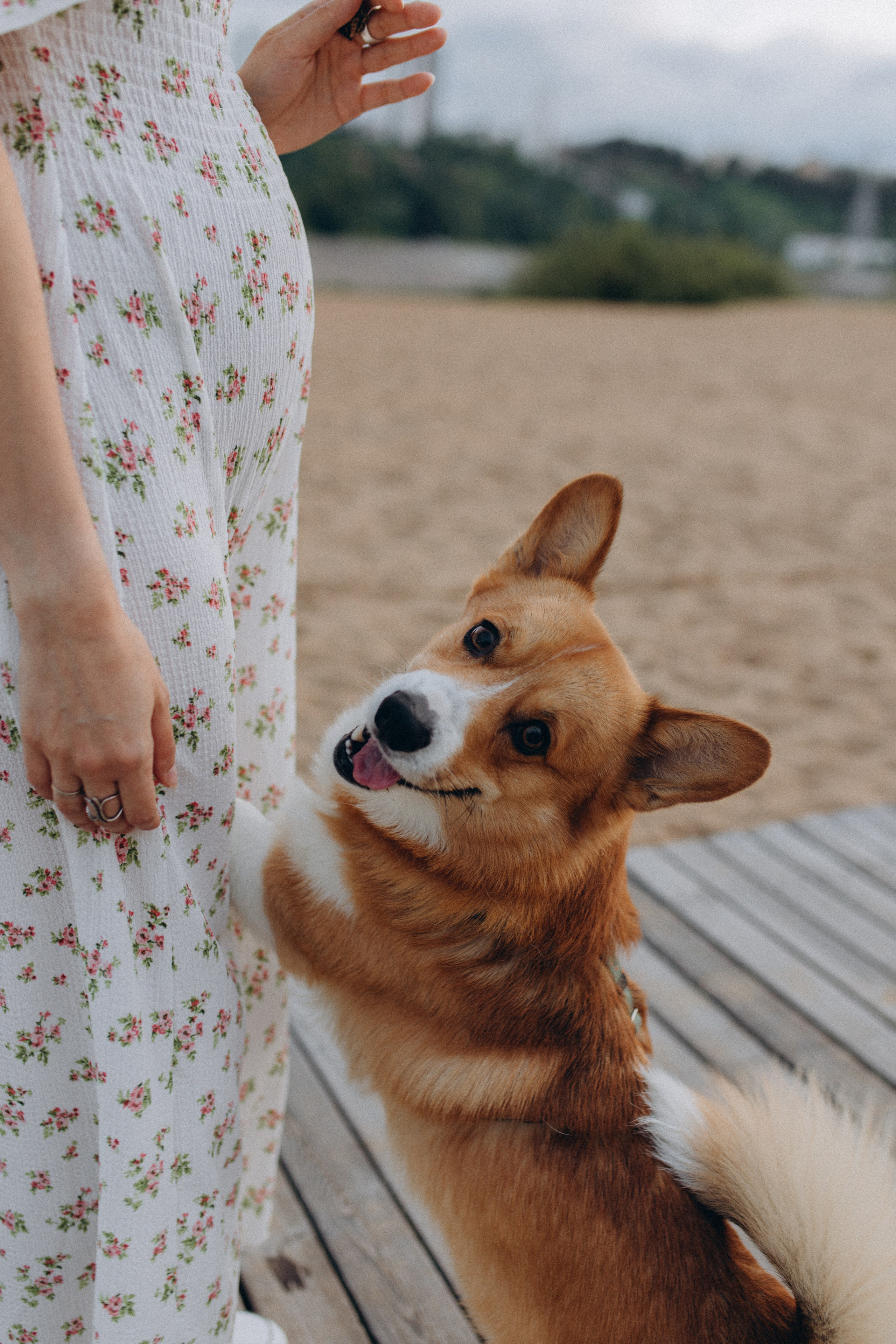 Эля, Денис и Сэми. Фотограф в Нижнем Новгороде Лебедева Елена