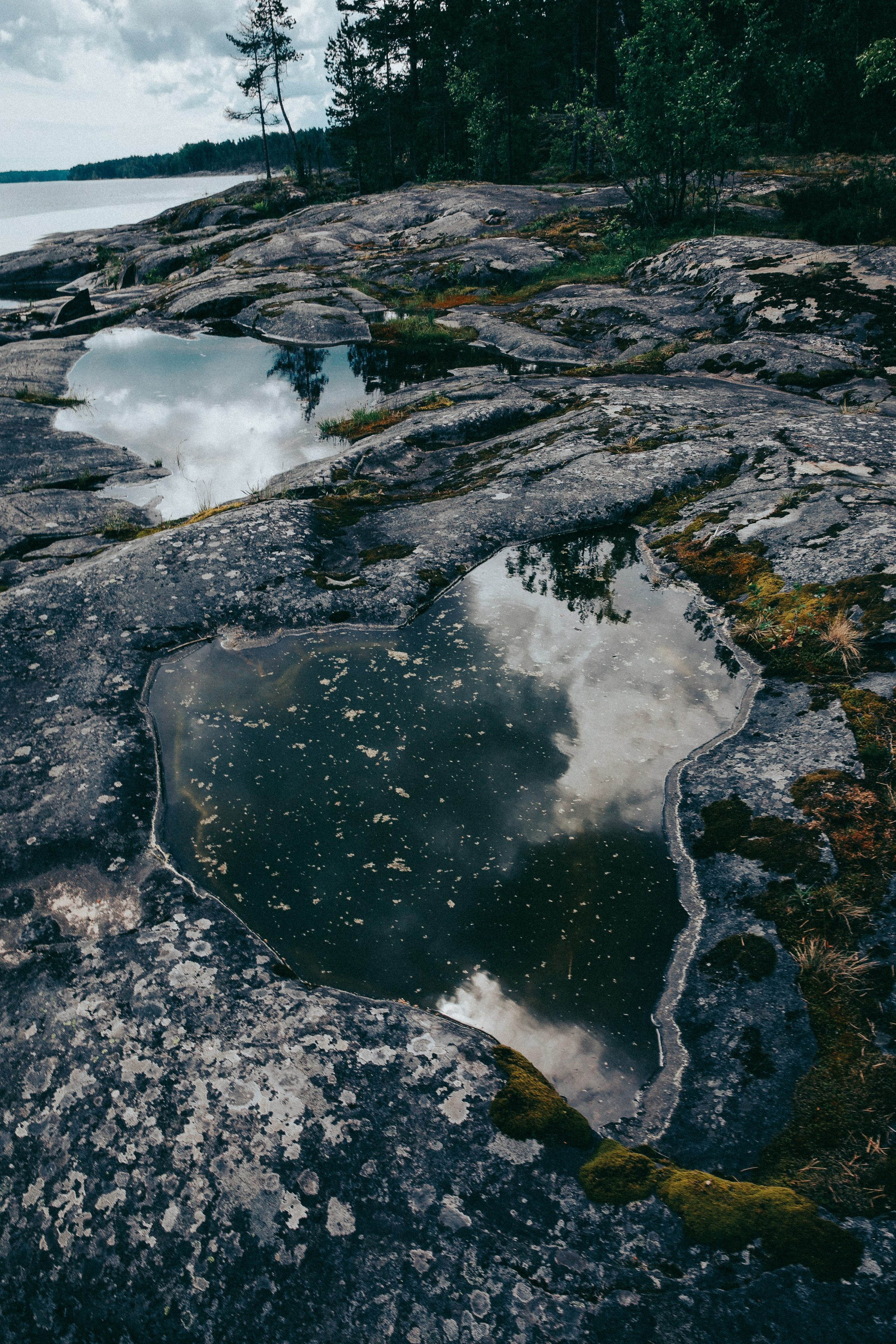 Папа и дочка. Фотограф в Москве Шаганова Нина