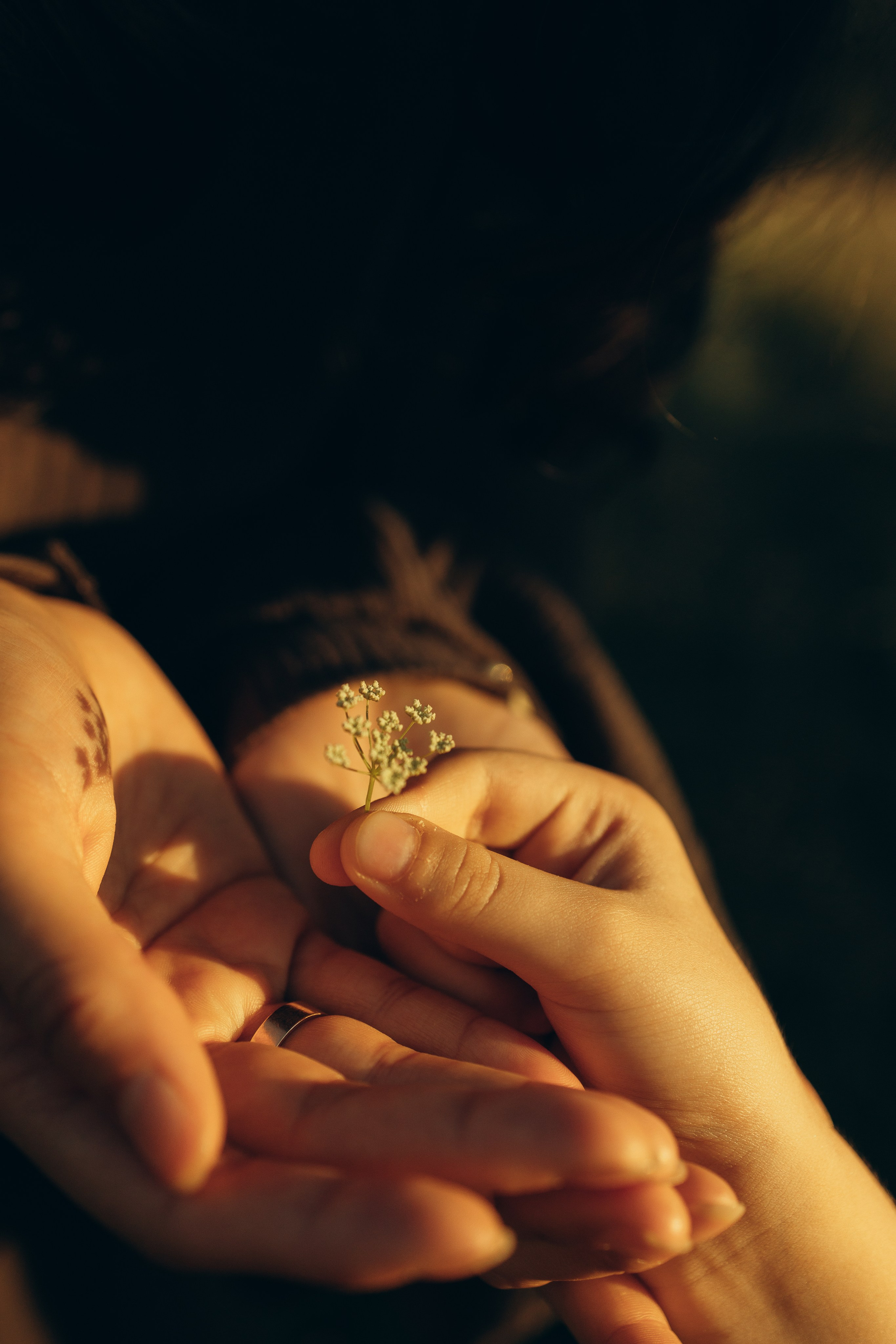 На природе. Семейный фотограф Новосибирск Фотограф на выписку Новосибирск