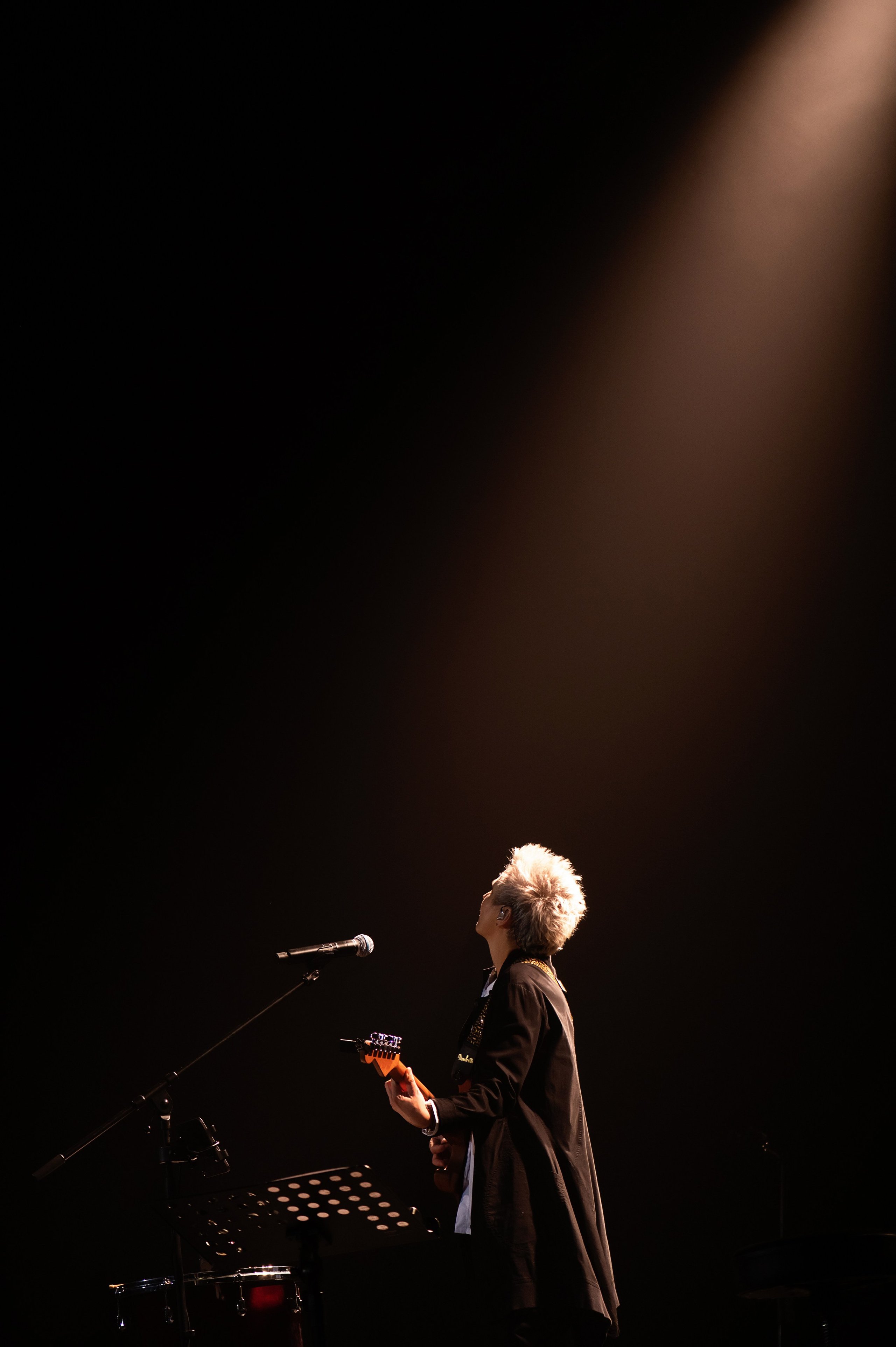 Светлана Сурганова и Оркестр, КЗ Москва, 19.11.2024, концерт. Фотограф в Москве, Оксана Ребристая