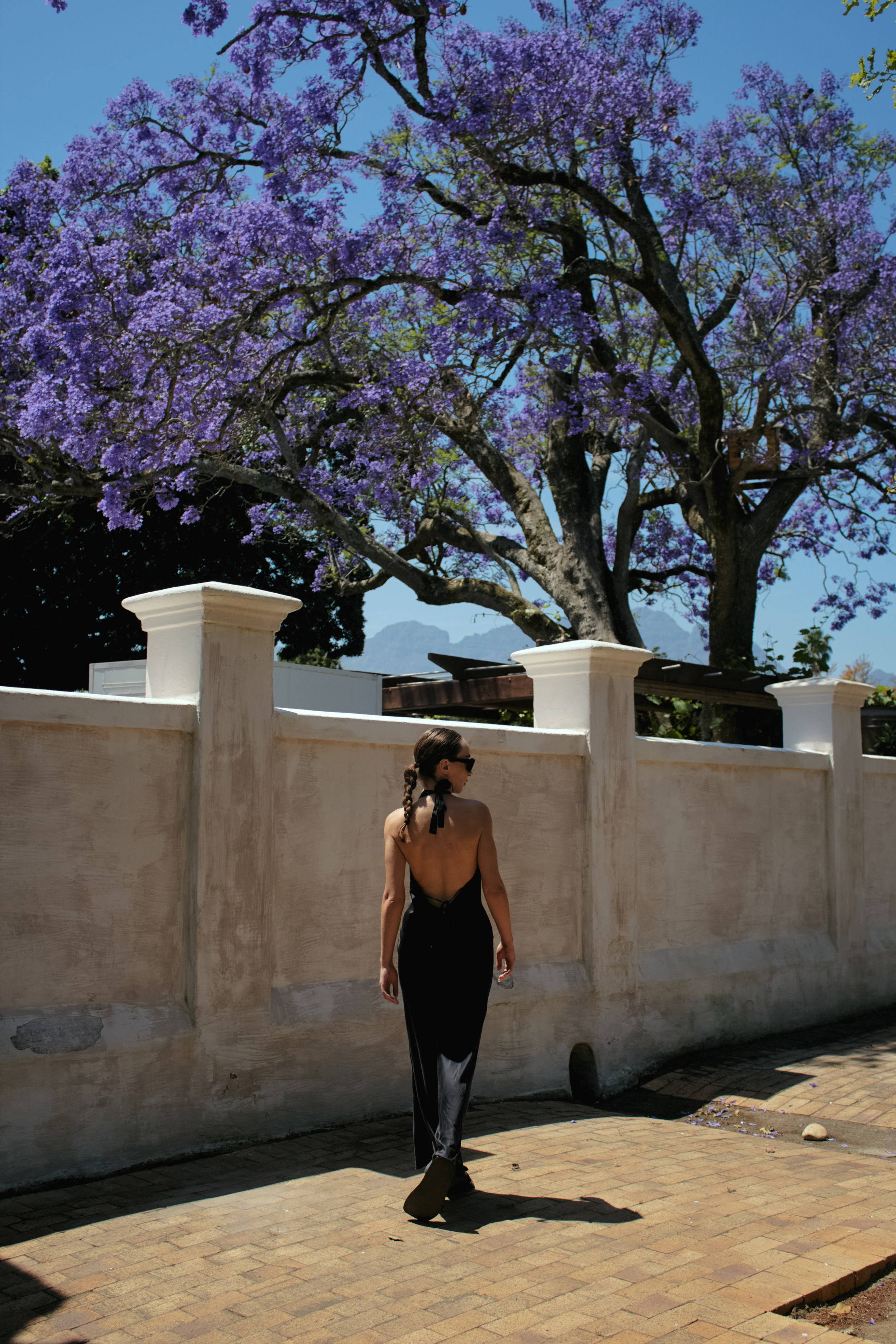 ЮАР. Профессиональный Фотограф во Владимире, в Москве и в Суздале — Полина Романычева