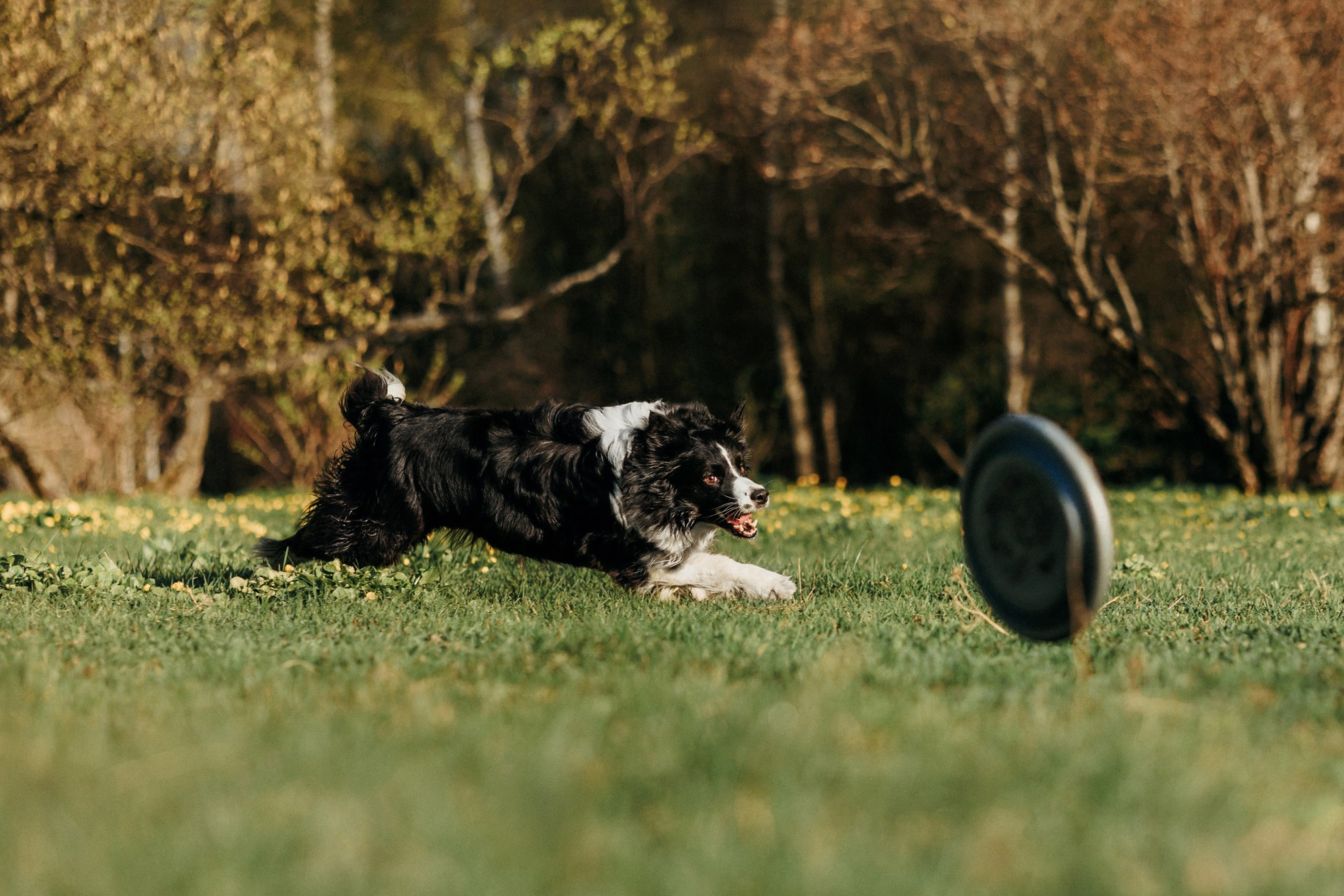 Аня и Иден. Фотограф-анималист Елена Радченко, Москва