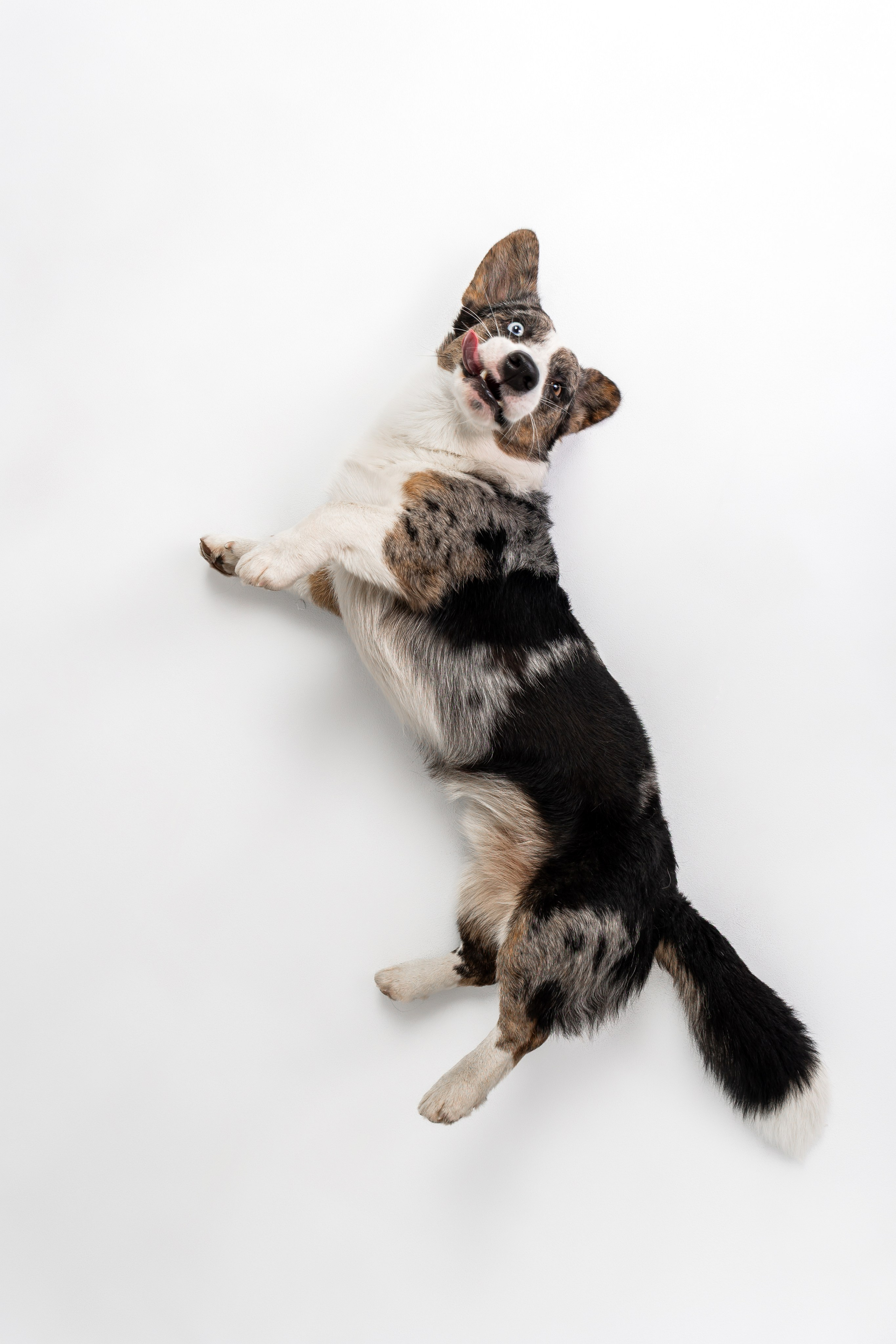 Анатолий и Рагнар