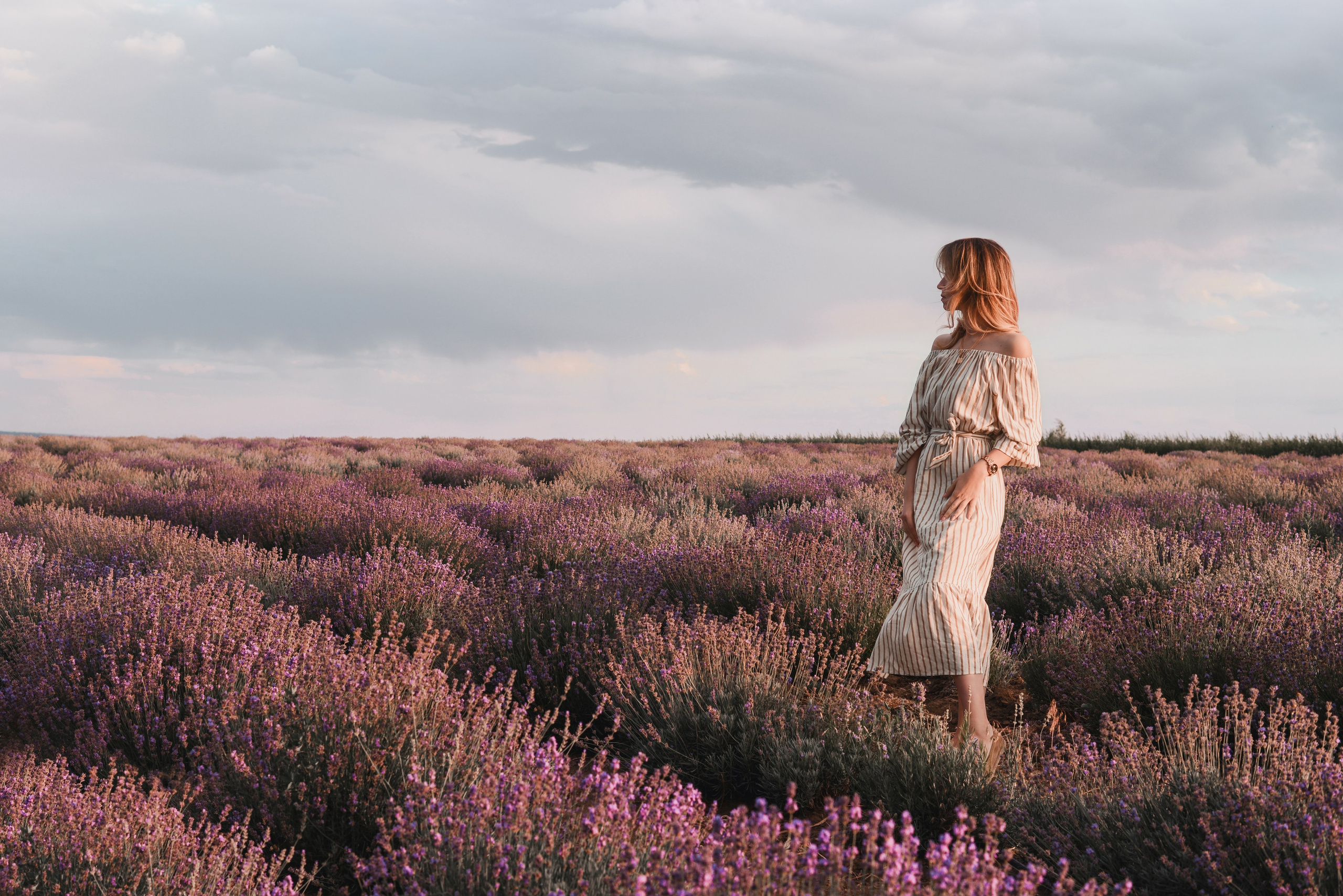 Лавандовое поле. Фотограф Ярута Оксана / Ростов-на-Дону