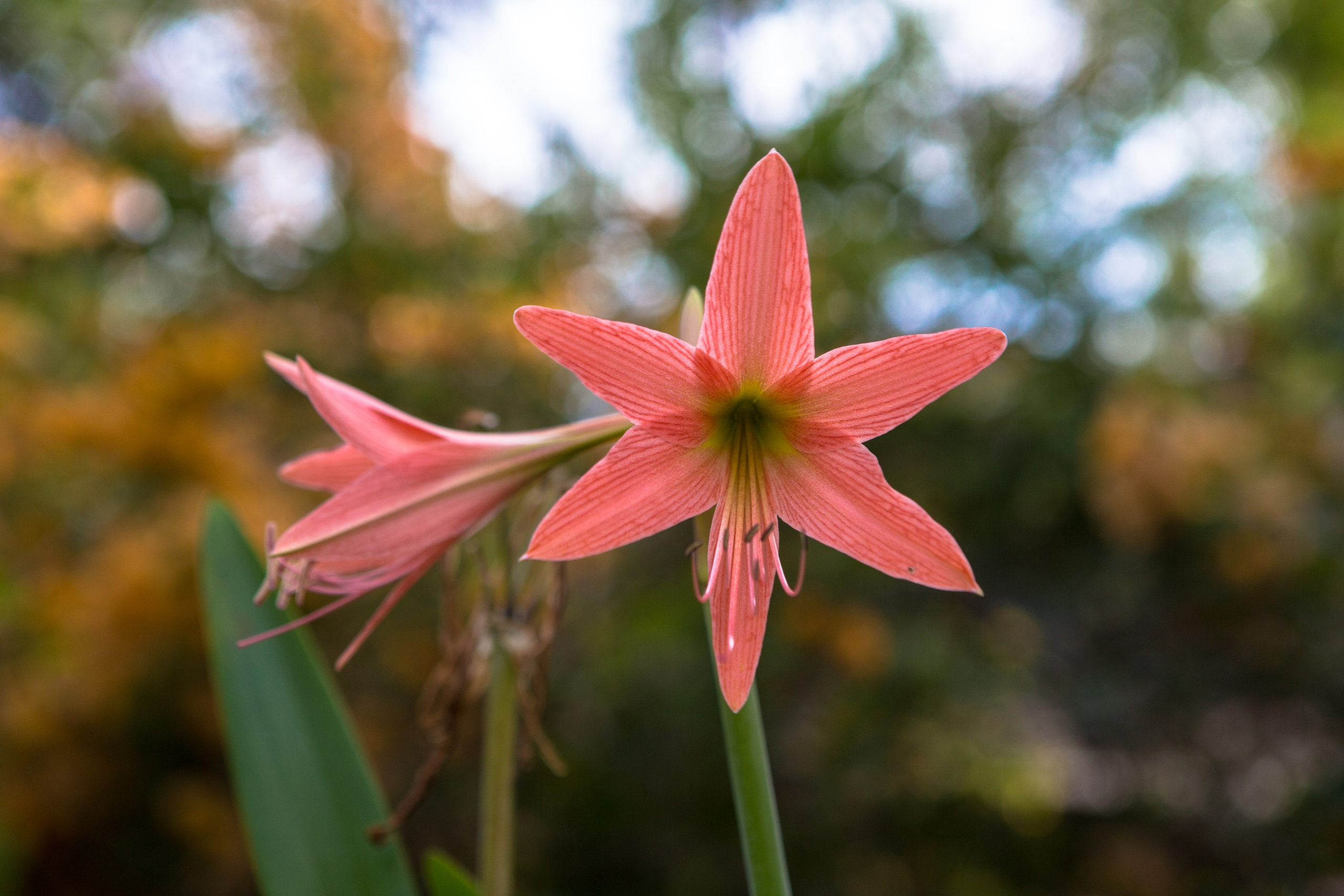 Фото Тайланда. Студия Максима Белослюдцева