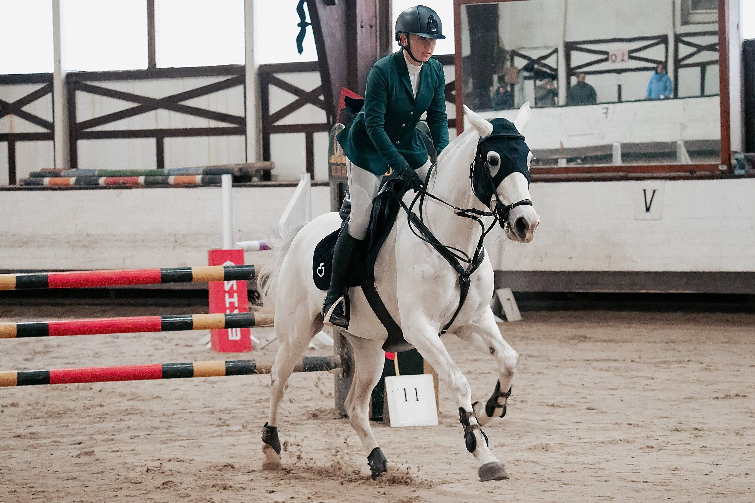 ОТКРЫТИЕ ЗИМНЕГО СЕЗОНА ПО КОНКУРУ В КСК «БЕЛАЯ ДАЧА». Куракина Дарья • Конный фотограф