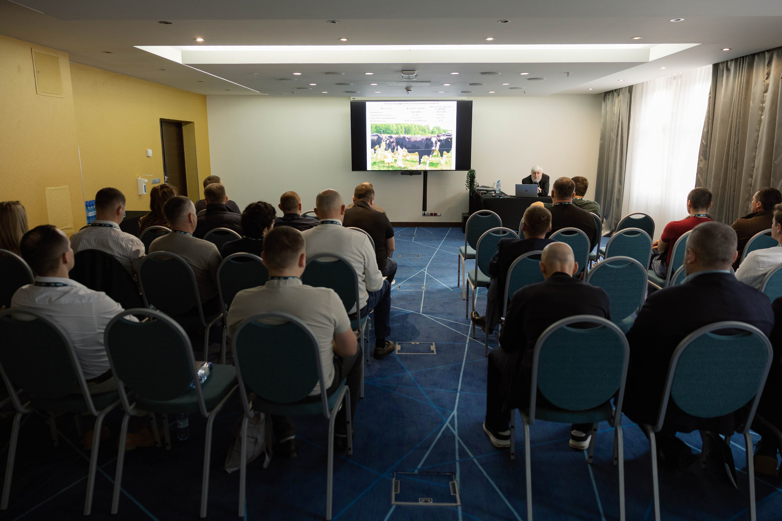 Конференция и ужи. Кормовит. Роза хутор. Фотограф Юсова Мария