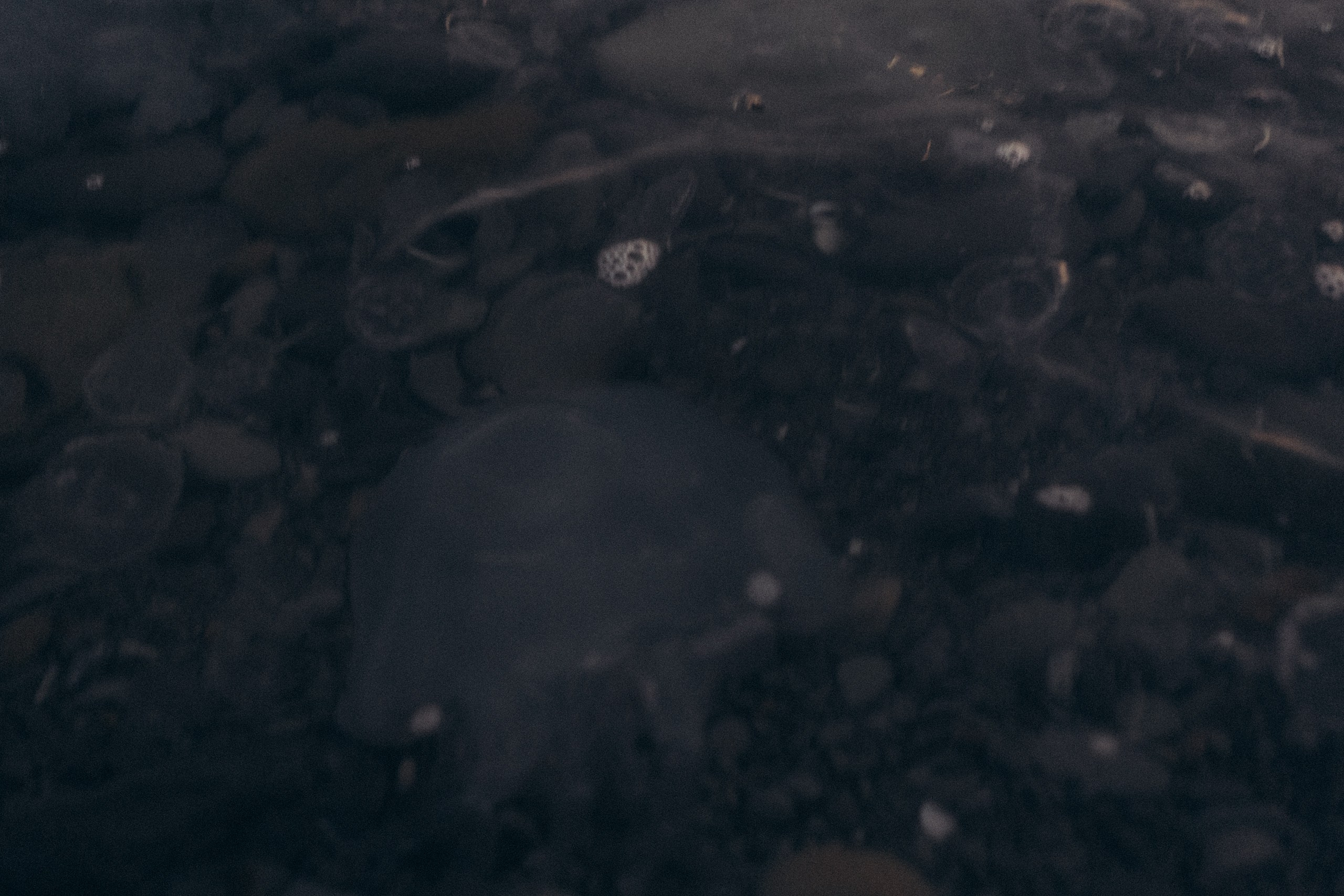 Вечерняя прогулка по Анапе. Профессиональный фотограф, Санкт-Петербург — Виктория Богомолова