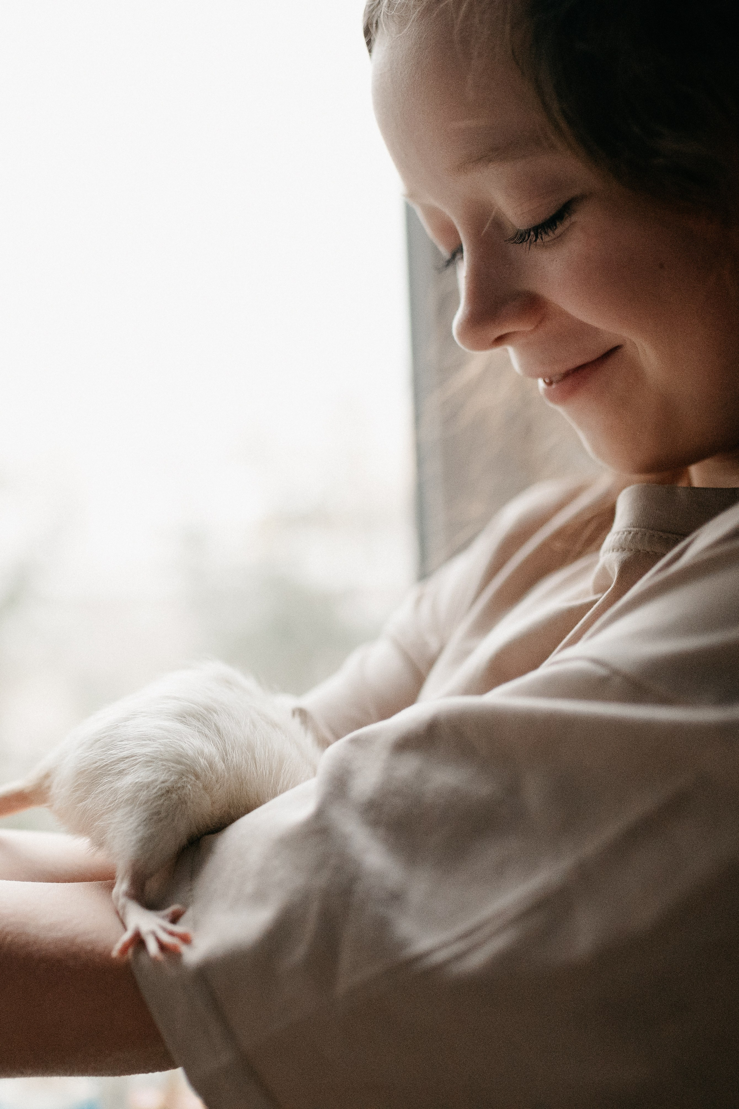 Даша, Диана, Дебби и маленькая крыска. Фотограф анималист в Москве Ольга Агушева