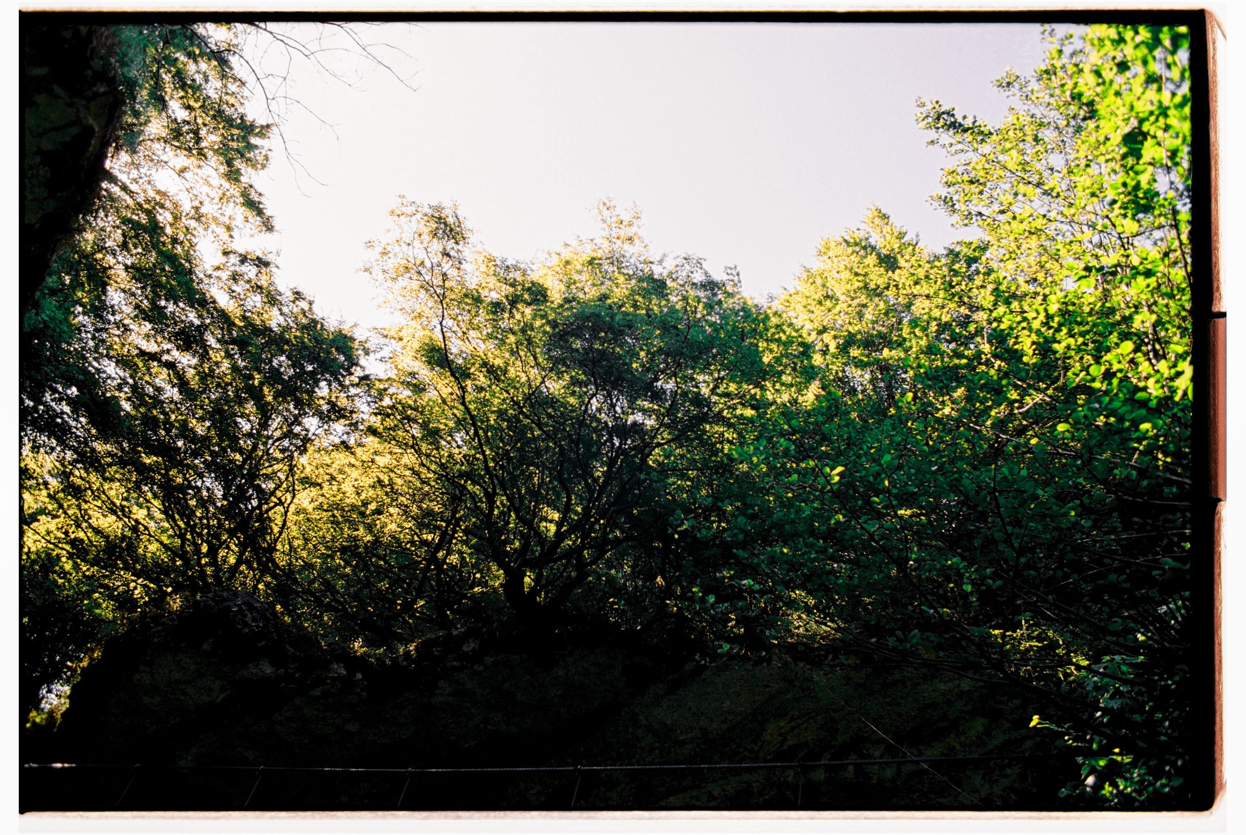 Abkhazia-2023. Никита Демидов. Nikita Demidov