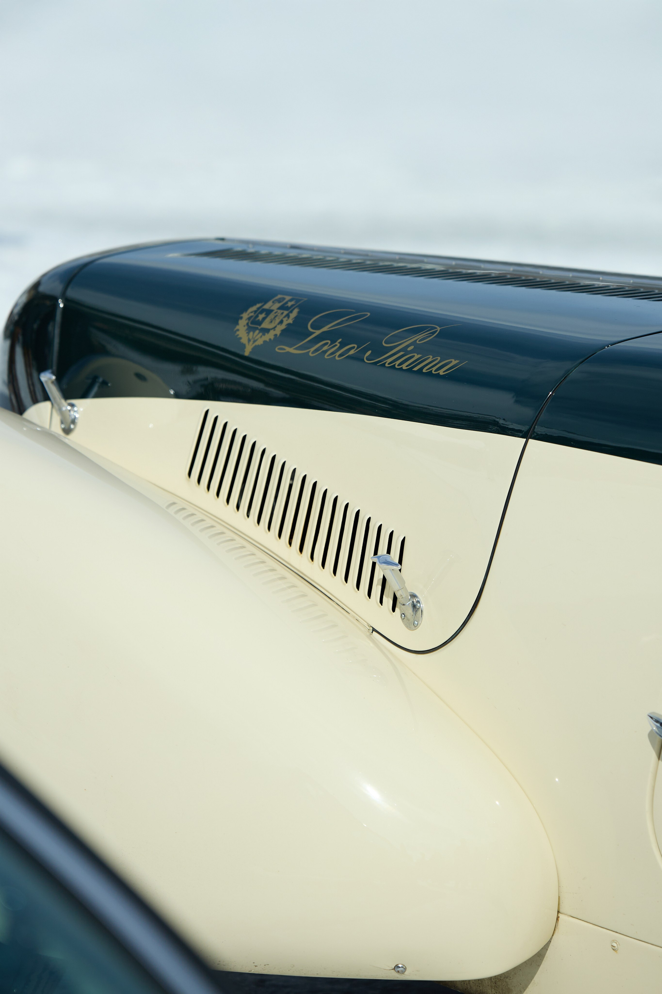 The ICE St. Moritz. Photographer in Milan Ivan Goncharov