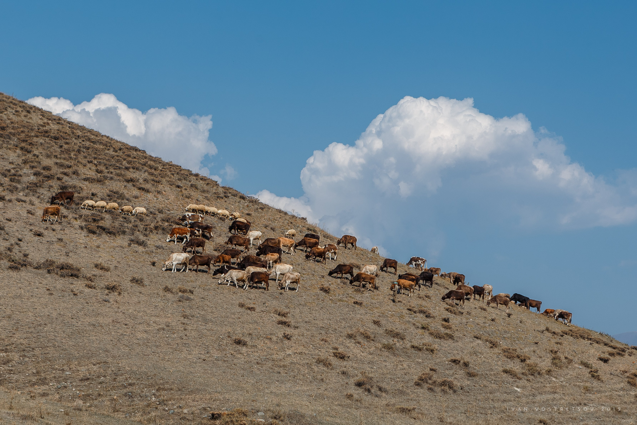 Стрит / Архитектура / Путешествия. Портретный, интерьерный и фуд фотограф в Перми Иван Вострецов