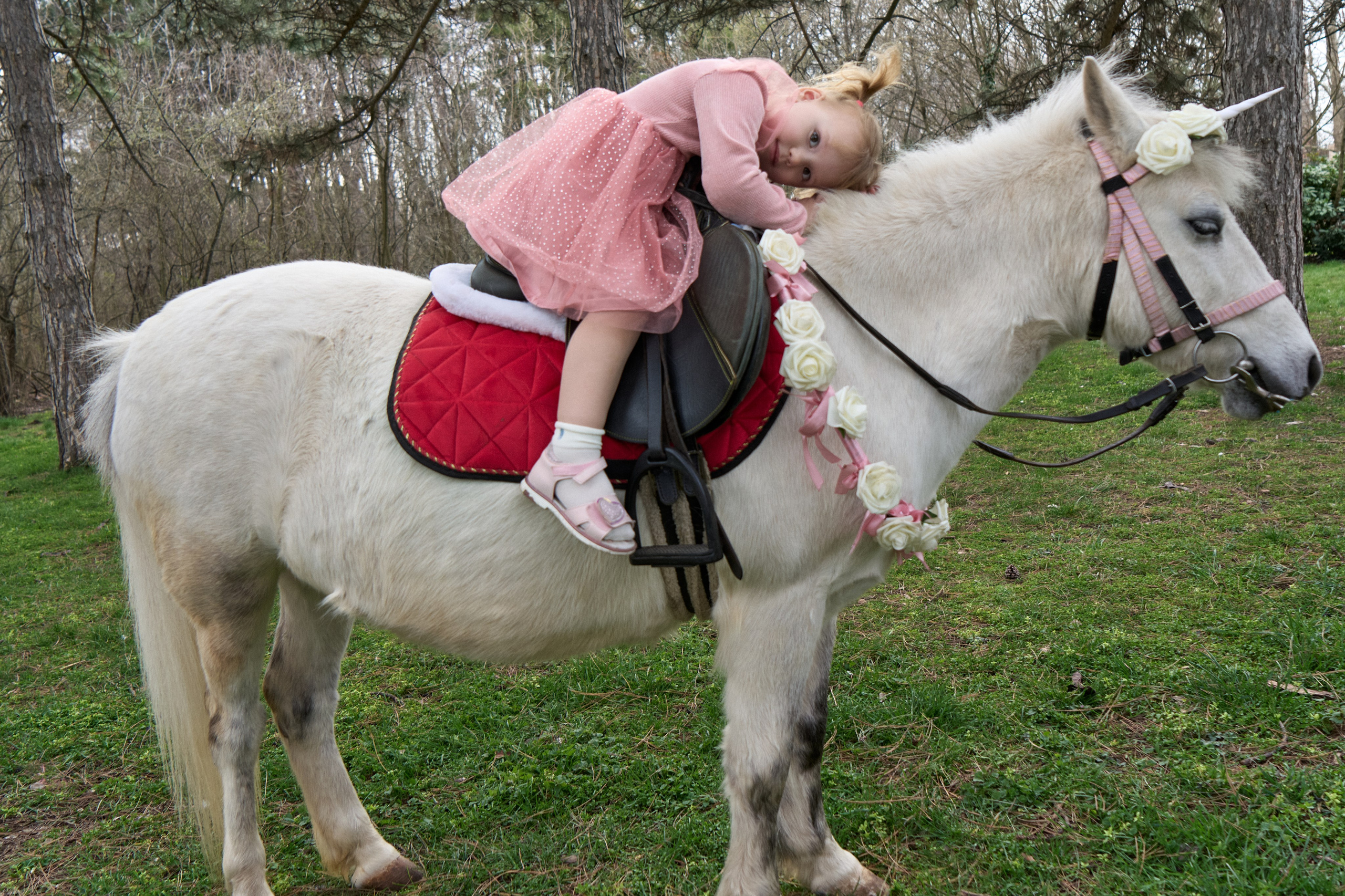 Злата. Фотограф в Краснодаре Татьяна Вижевитова