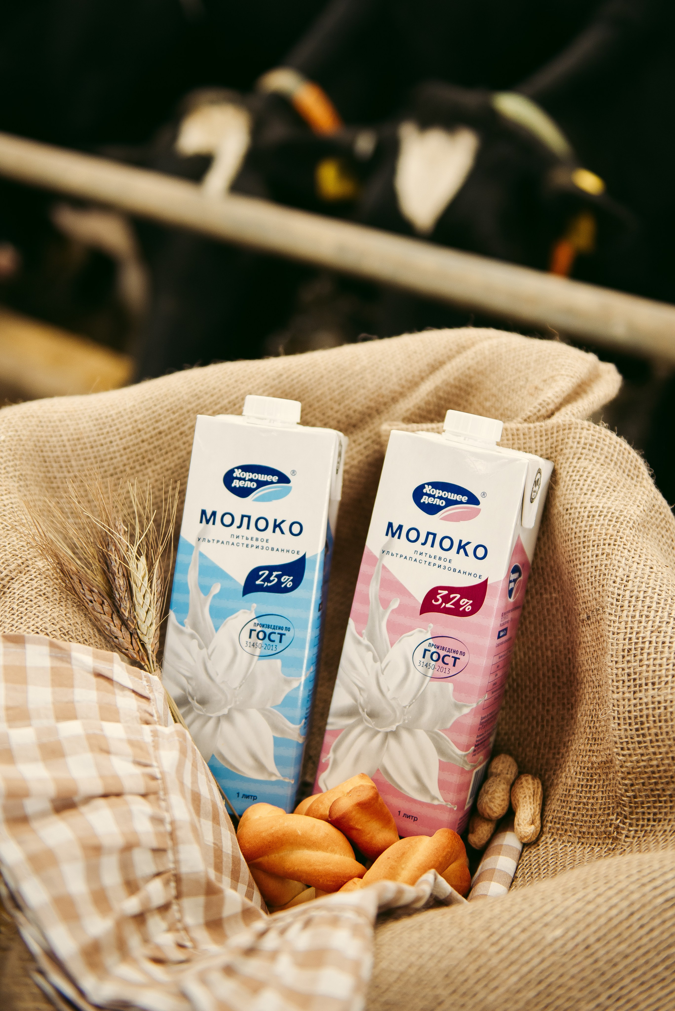 Хорошее дело I Дубенки. Фотограф в Республике Мордовия София Сержантова