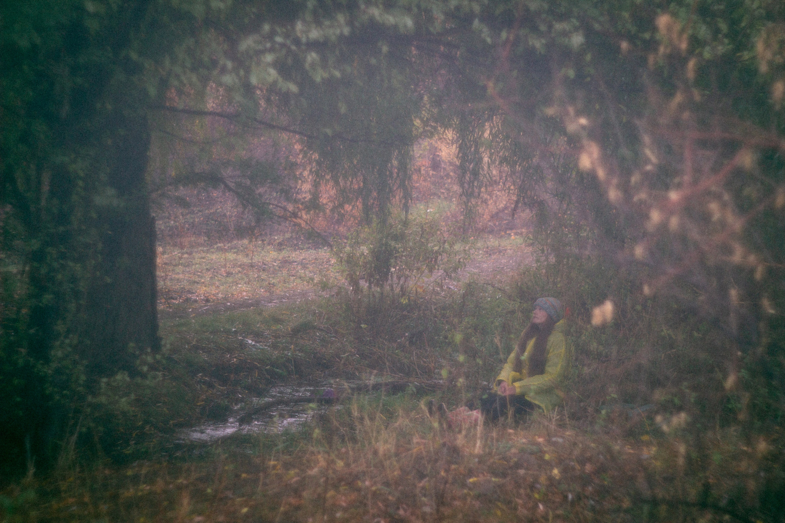 Туманная осень. • Фотограф Александра Светозар Алчевск •