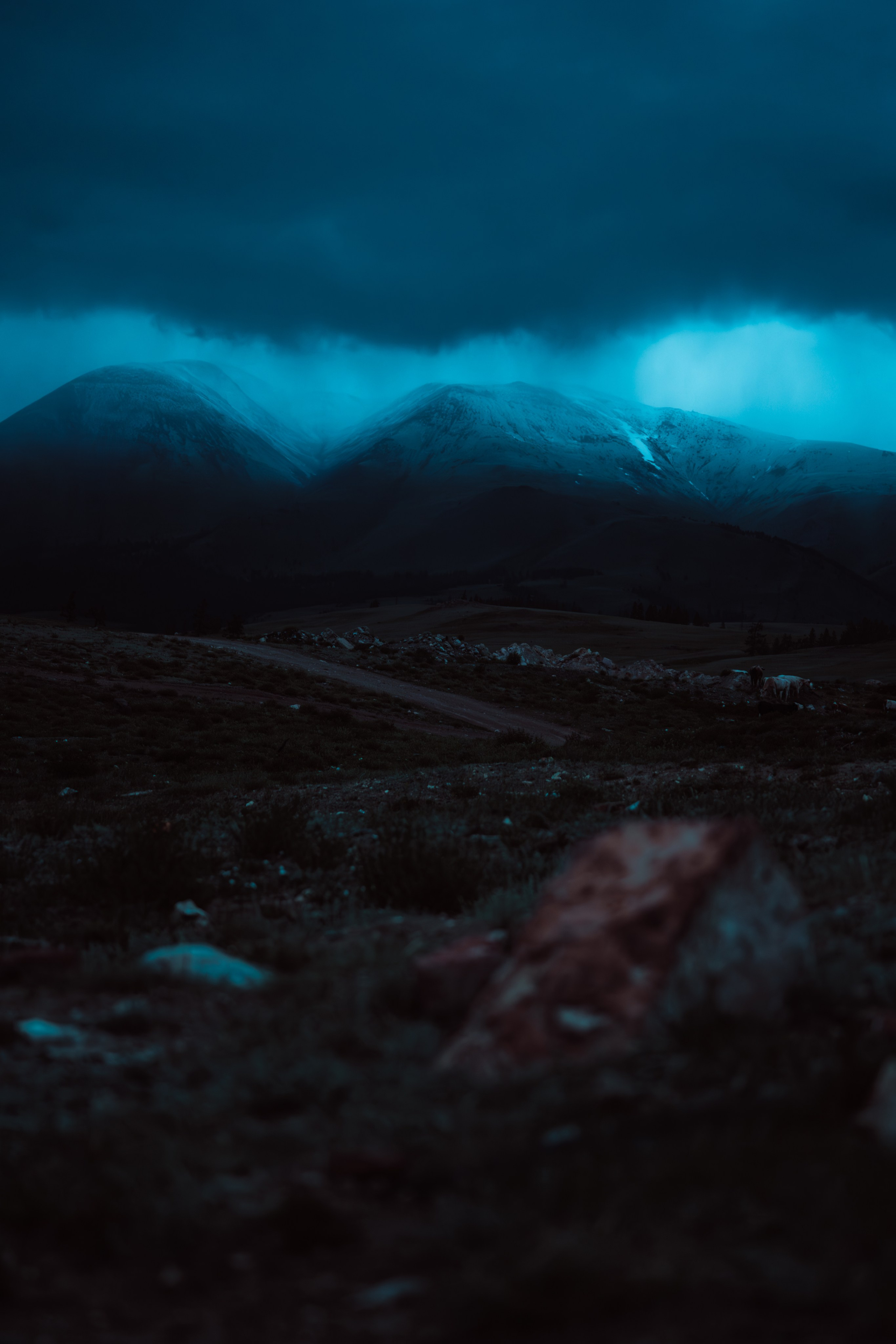 Алтай. Оператор и Фотограф в Санкт-Петербурге и Москве