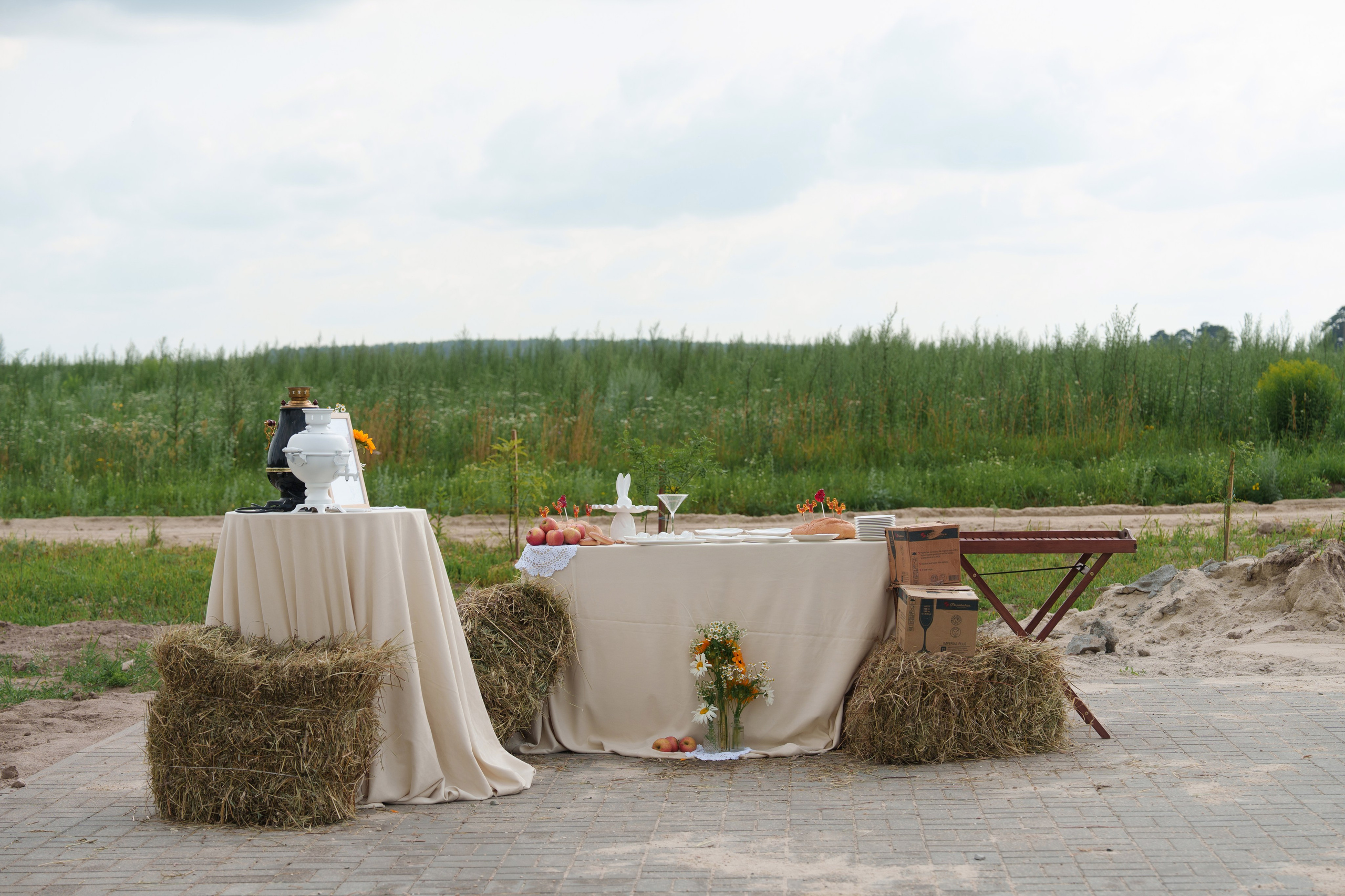 Михаил и Ольга (банкетная часть г. Брянск). Свадебный и репортажный фотограф Элина Козырьянова