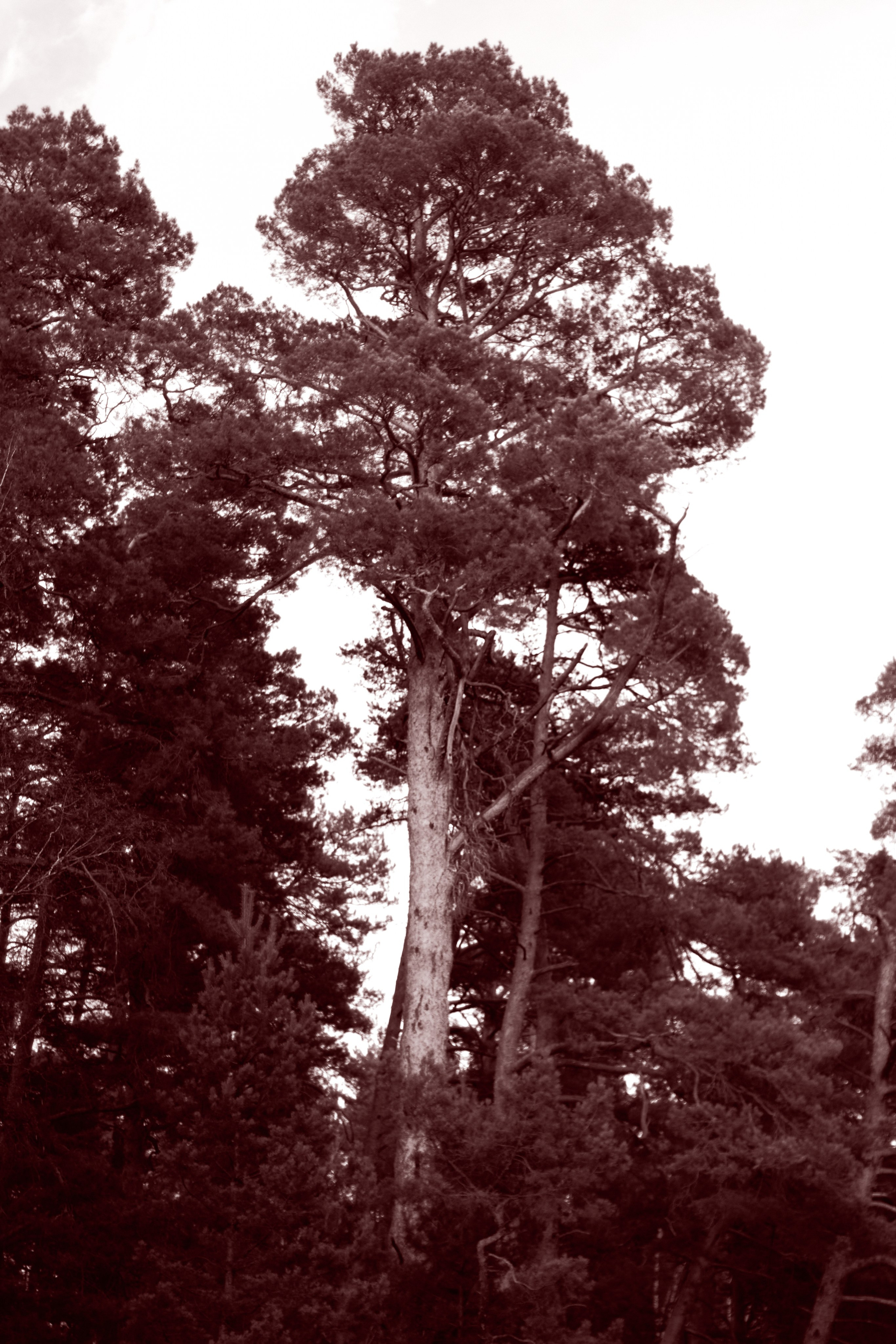  Фотограф: Ожерельев Лев