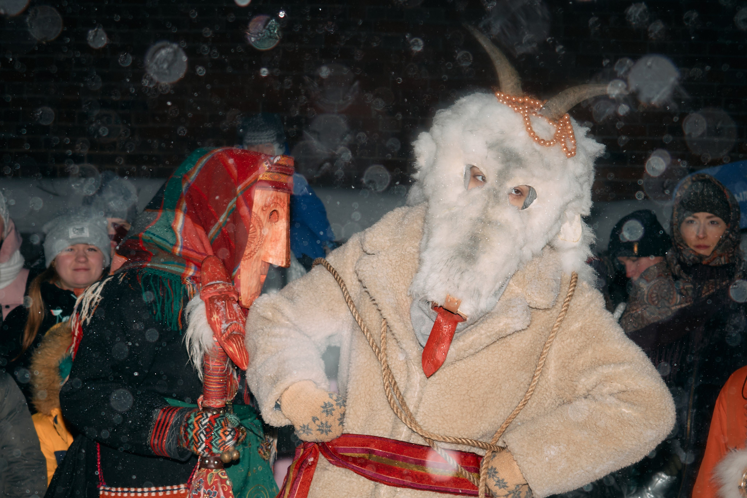 С медведем по соседям. Фотограф