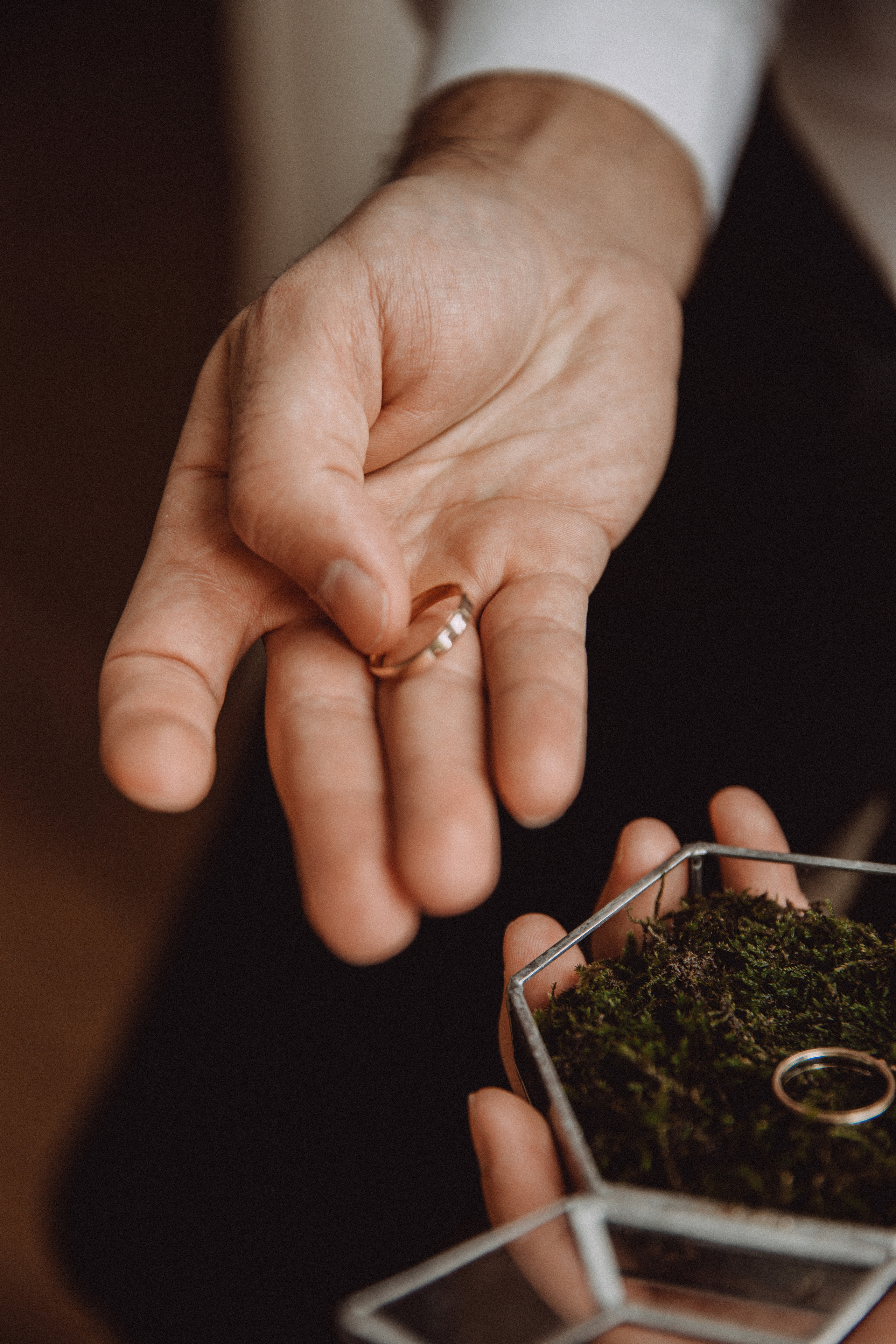 Елизавета & Николай. Фотограф в Краснодаре и Краснодарском крае