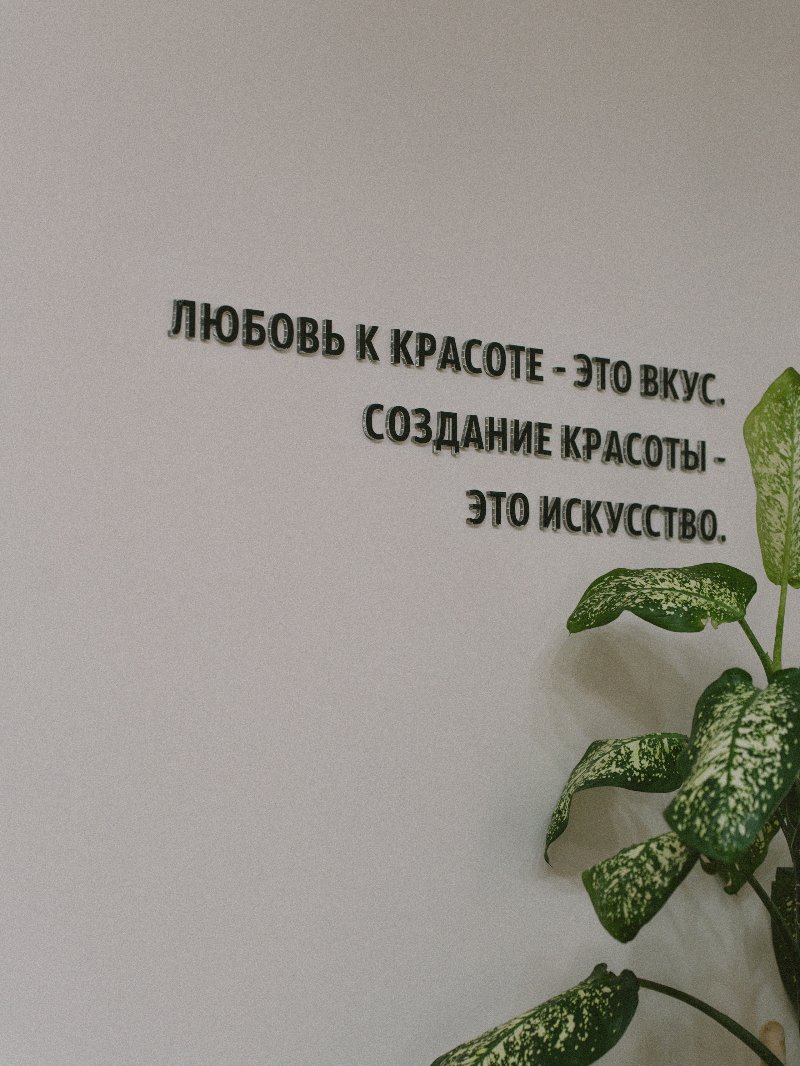Commercial | Balance. Фотограф Веста Шикунова