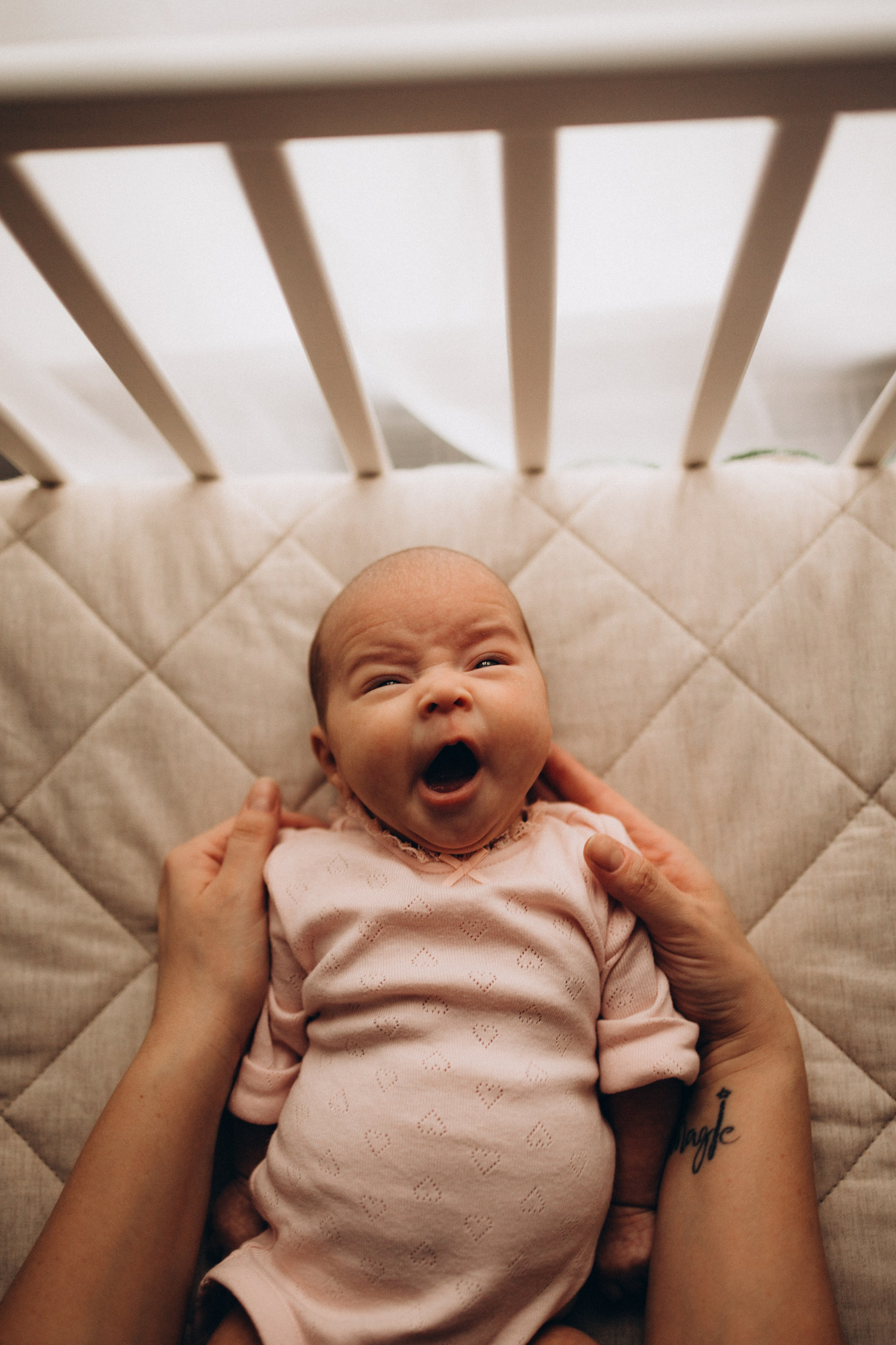 Маша и Варя 2 месяца. Евгения Пелипас