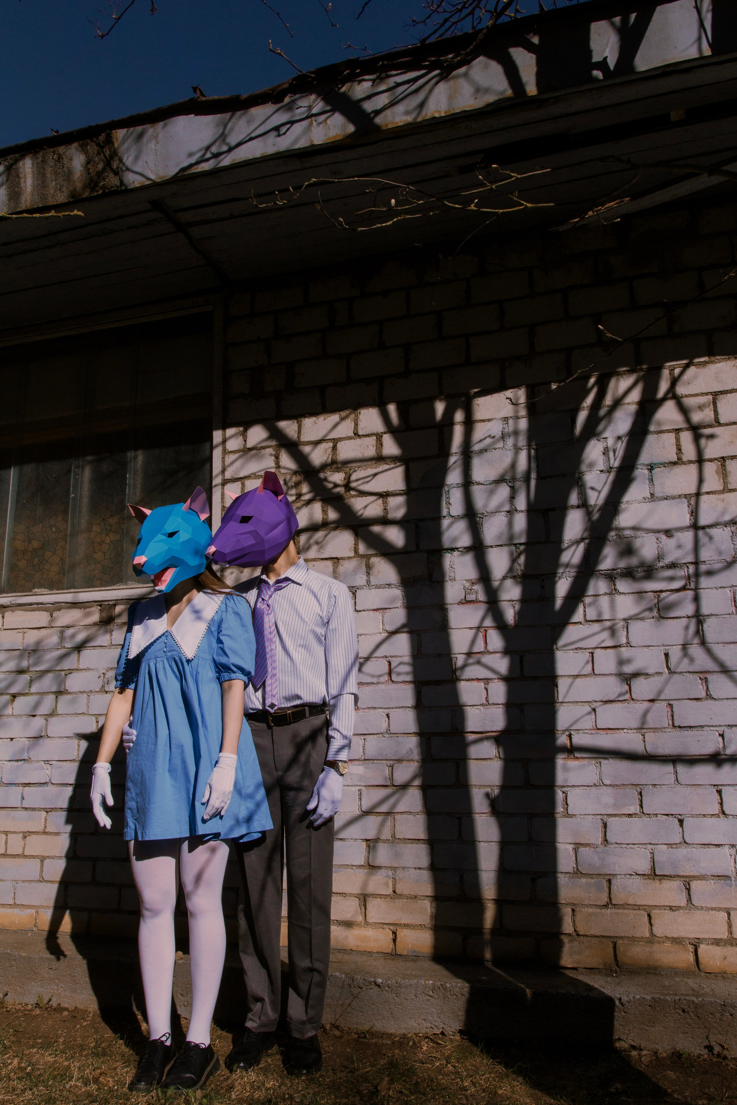 Красивая крысиная любовь