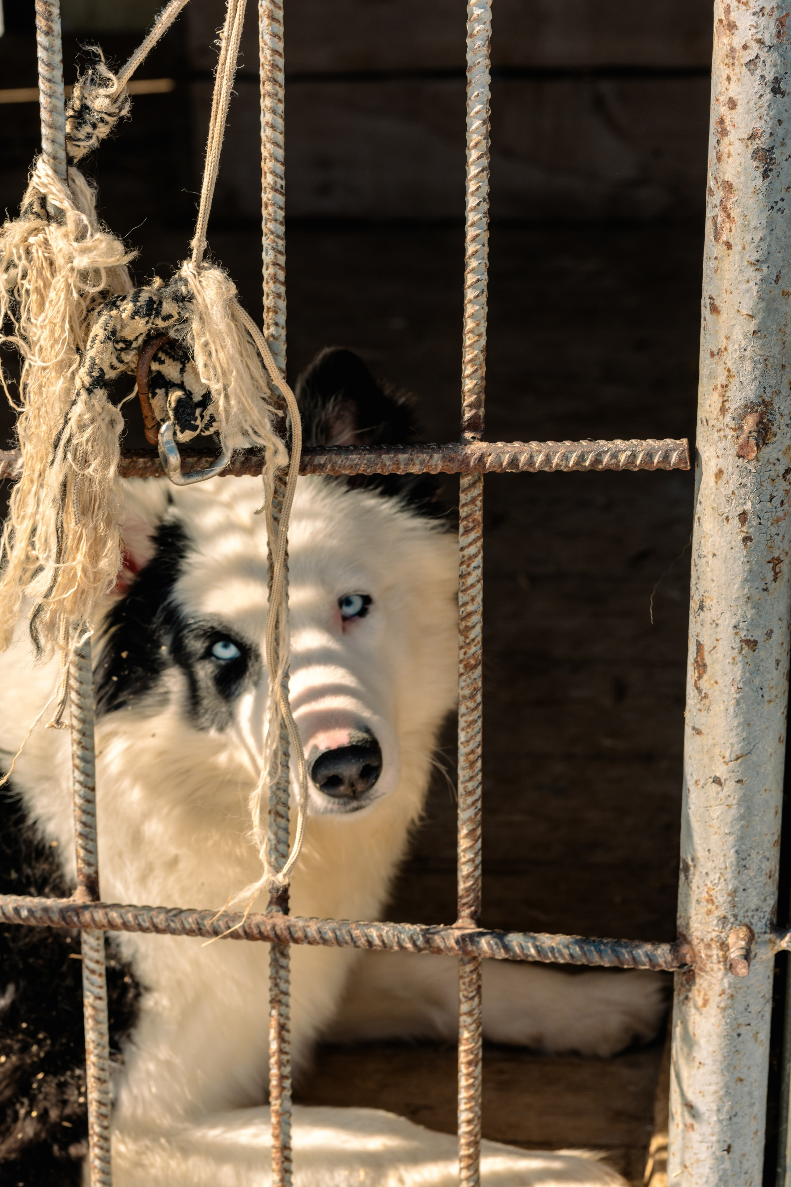 Якутск, Апрель 2024