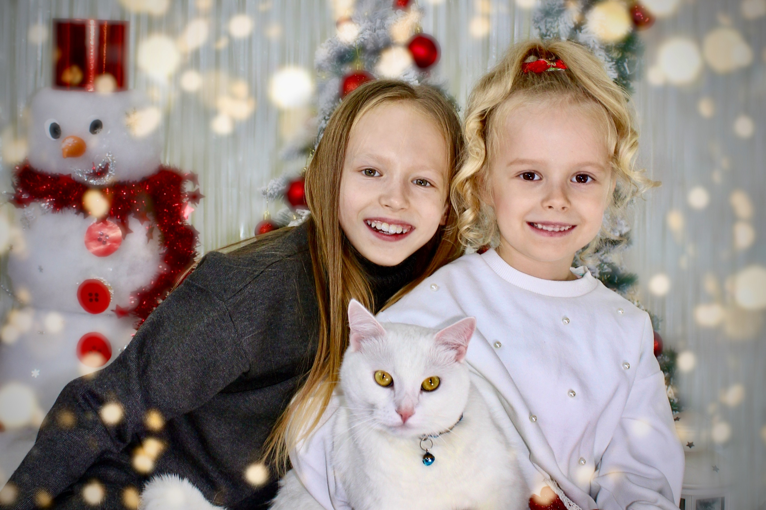 Скоро Новый Год. Портфолио