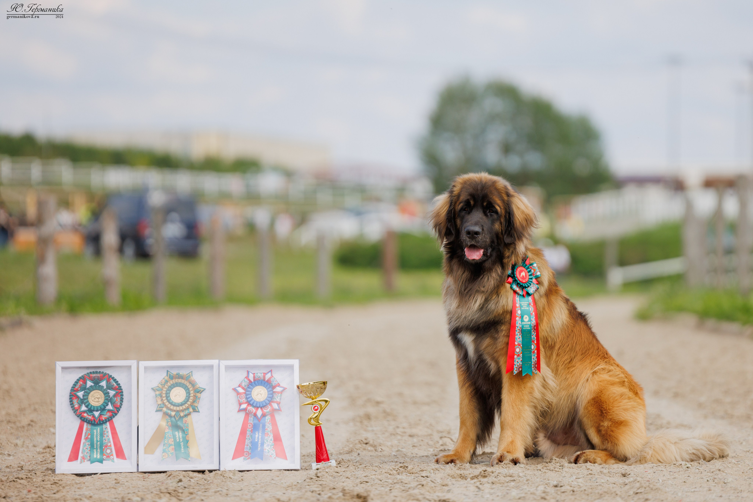 РОССИЯ 8-9.06.2024. Фотограф-анималист Юлия Германика