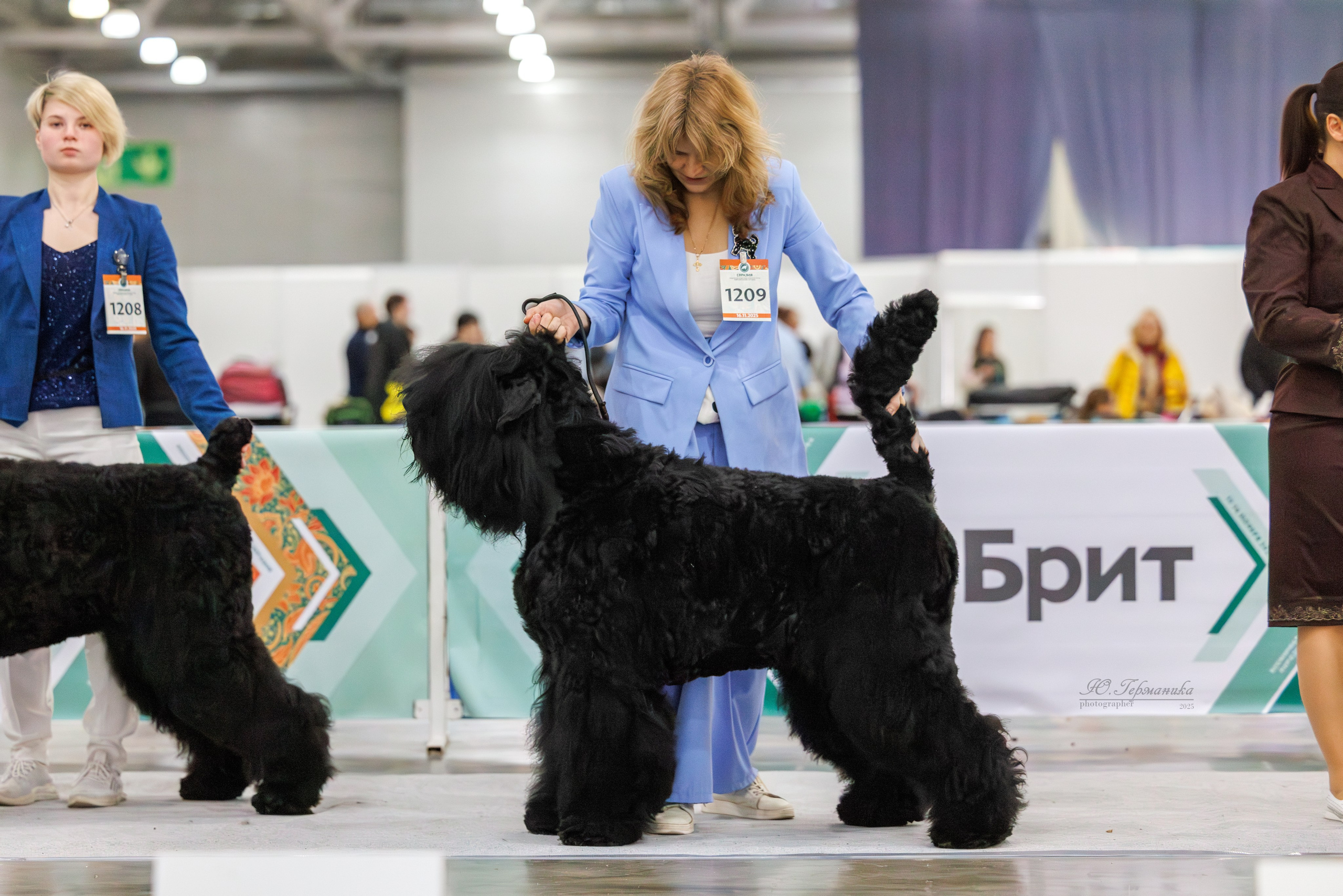 Евразия 15-16.11.2025. Фотограф-анималист Юлия Германика