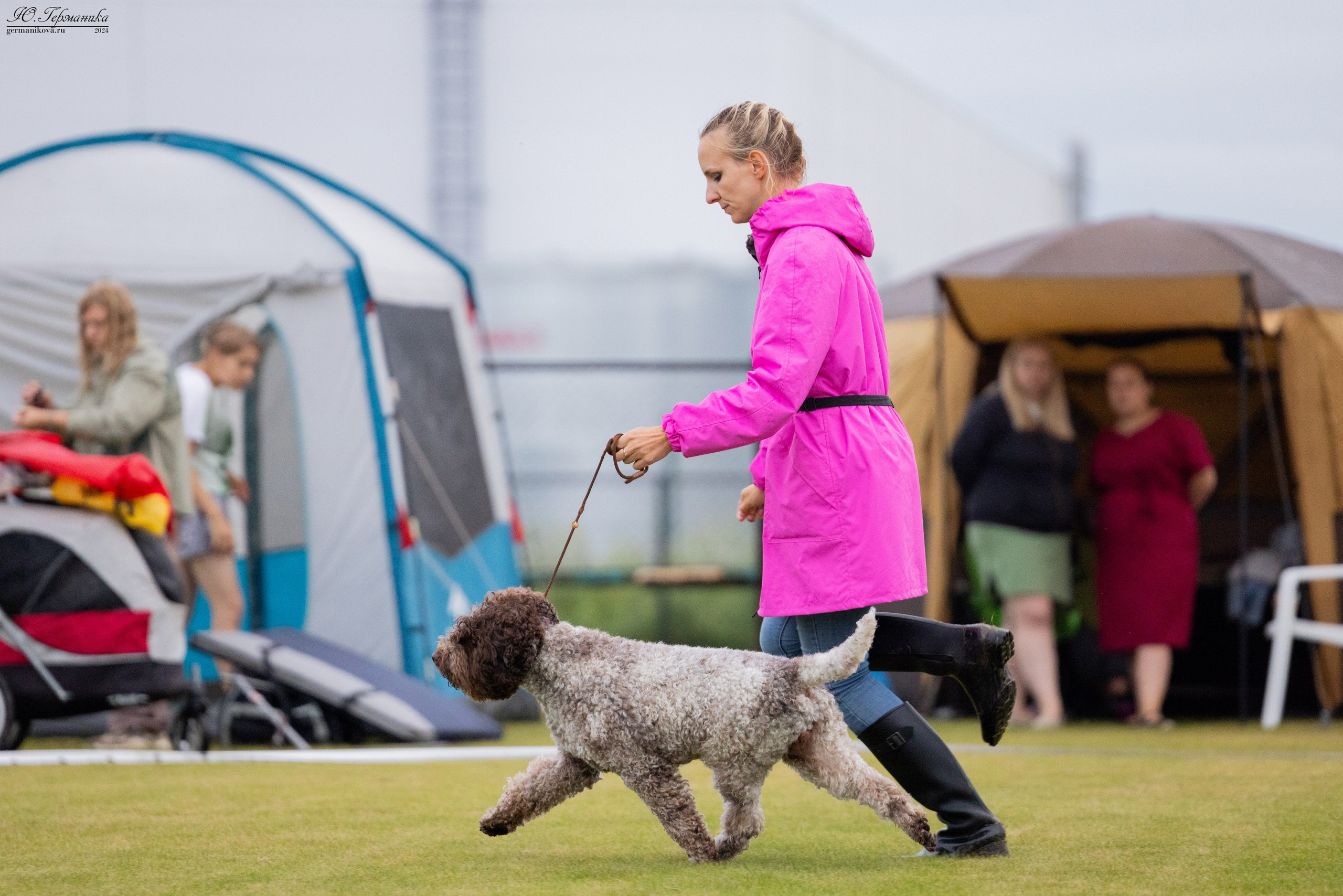 Ярославль 21.07.24 и Балашиха 13.07.24. Фотограф-анималист Юлия Германика
