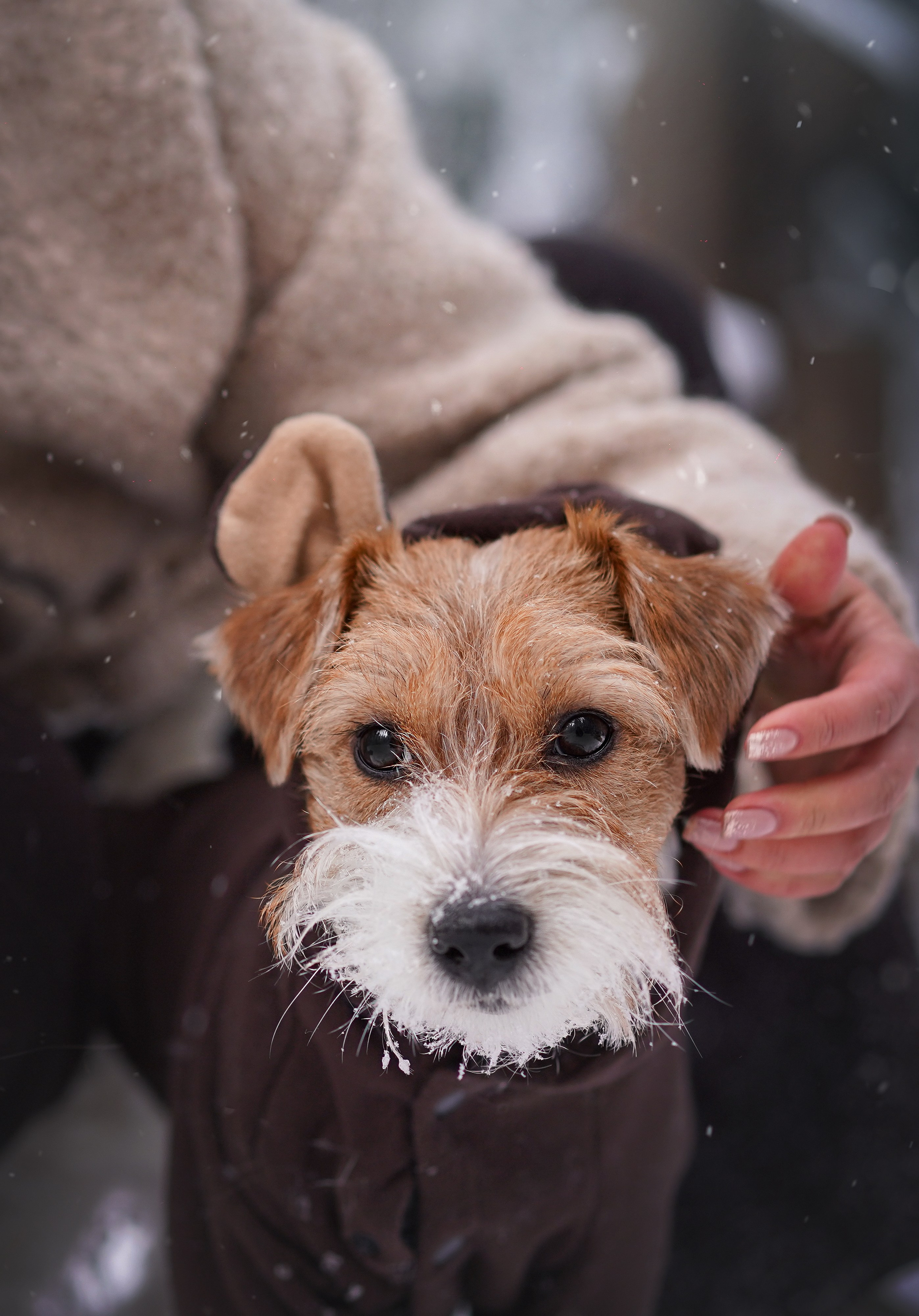 Люба и Тося. Фотограф-анималист в Санкт-Петербурге Яна Мартынова
