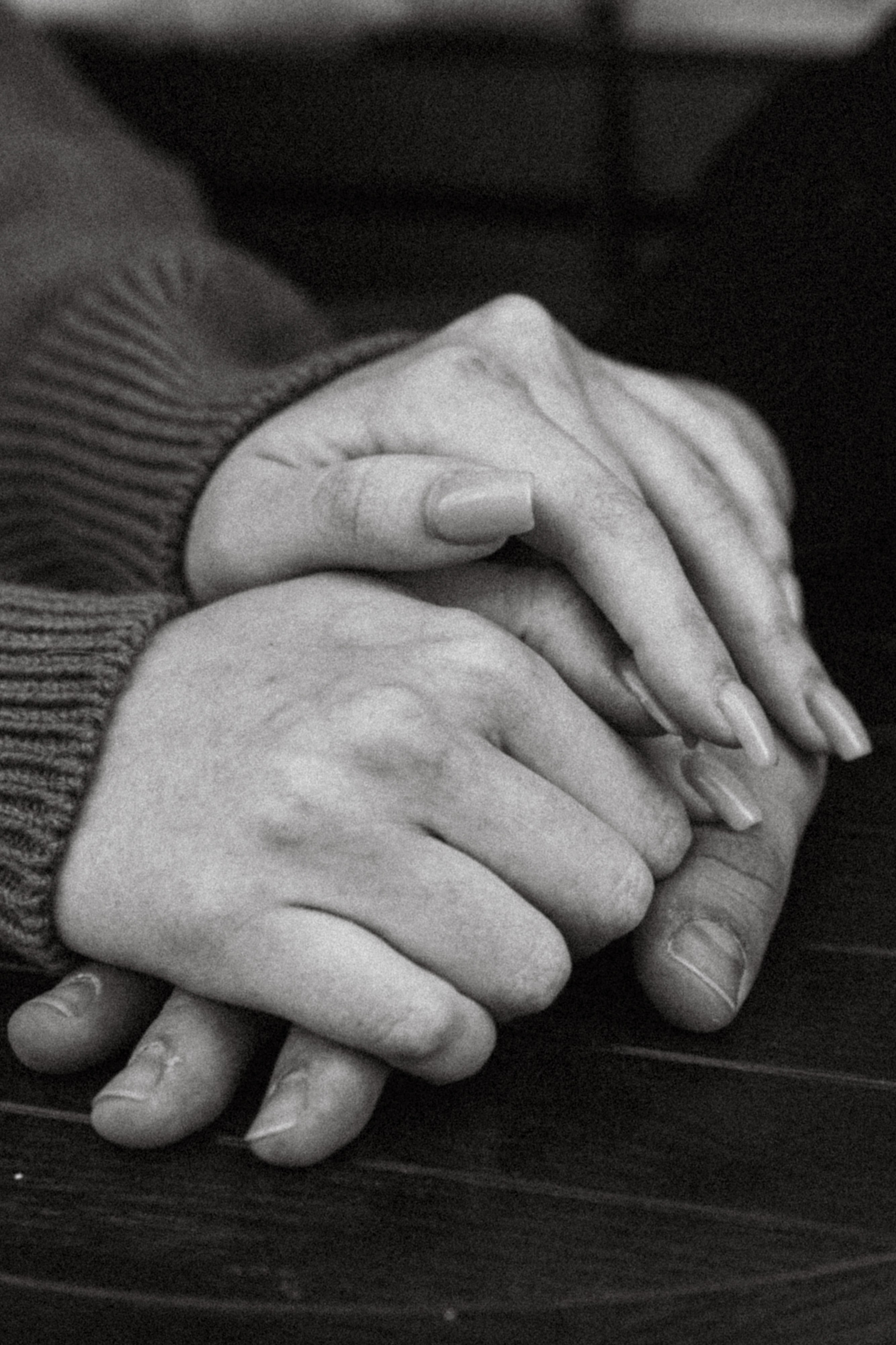 Даша, Рома и Лесли. Фотораф — анималист Мария Шистка