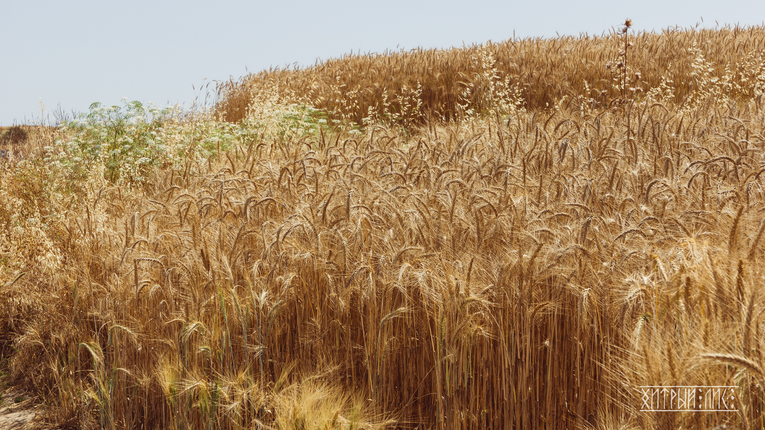 Кипр. Фотограф-путешественник Самойлов Максим «Sly Fox»