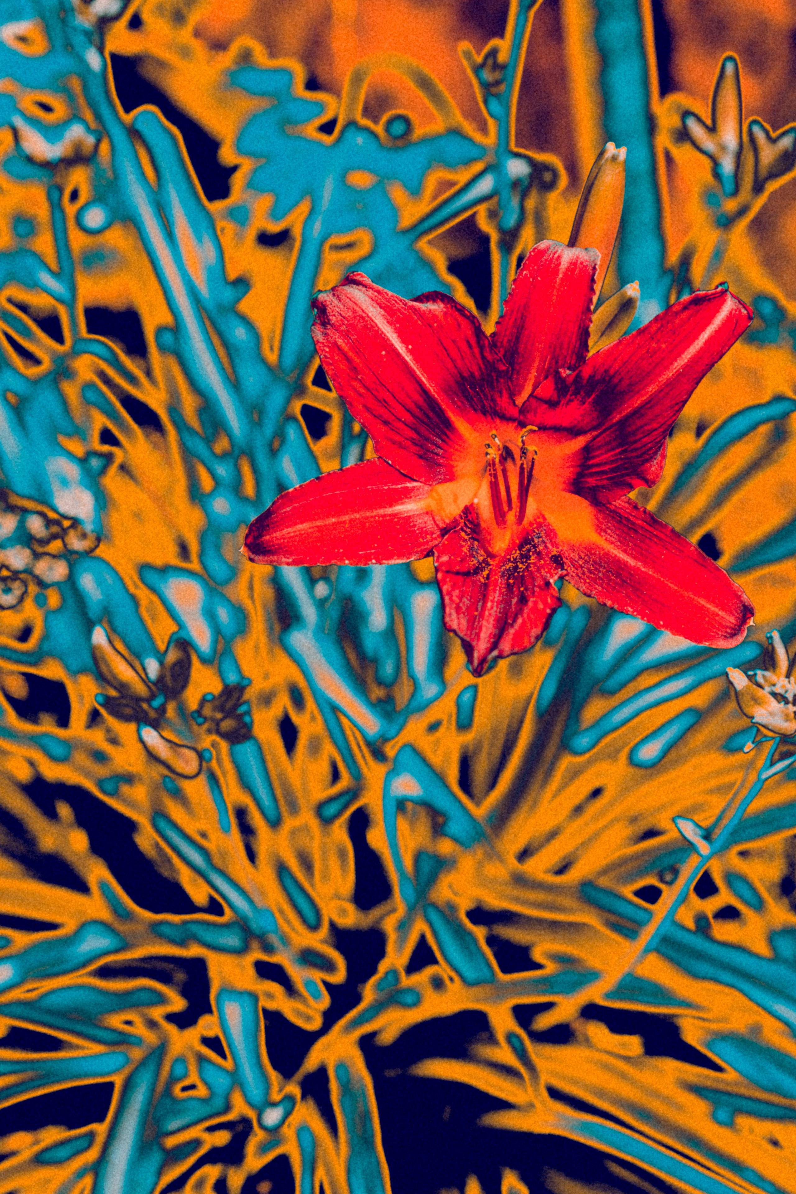 NON-EXISTENT FLOWERS. Фотограф Евгений Чащихин RGB АРХИТЕКТОР в Перми