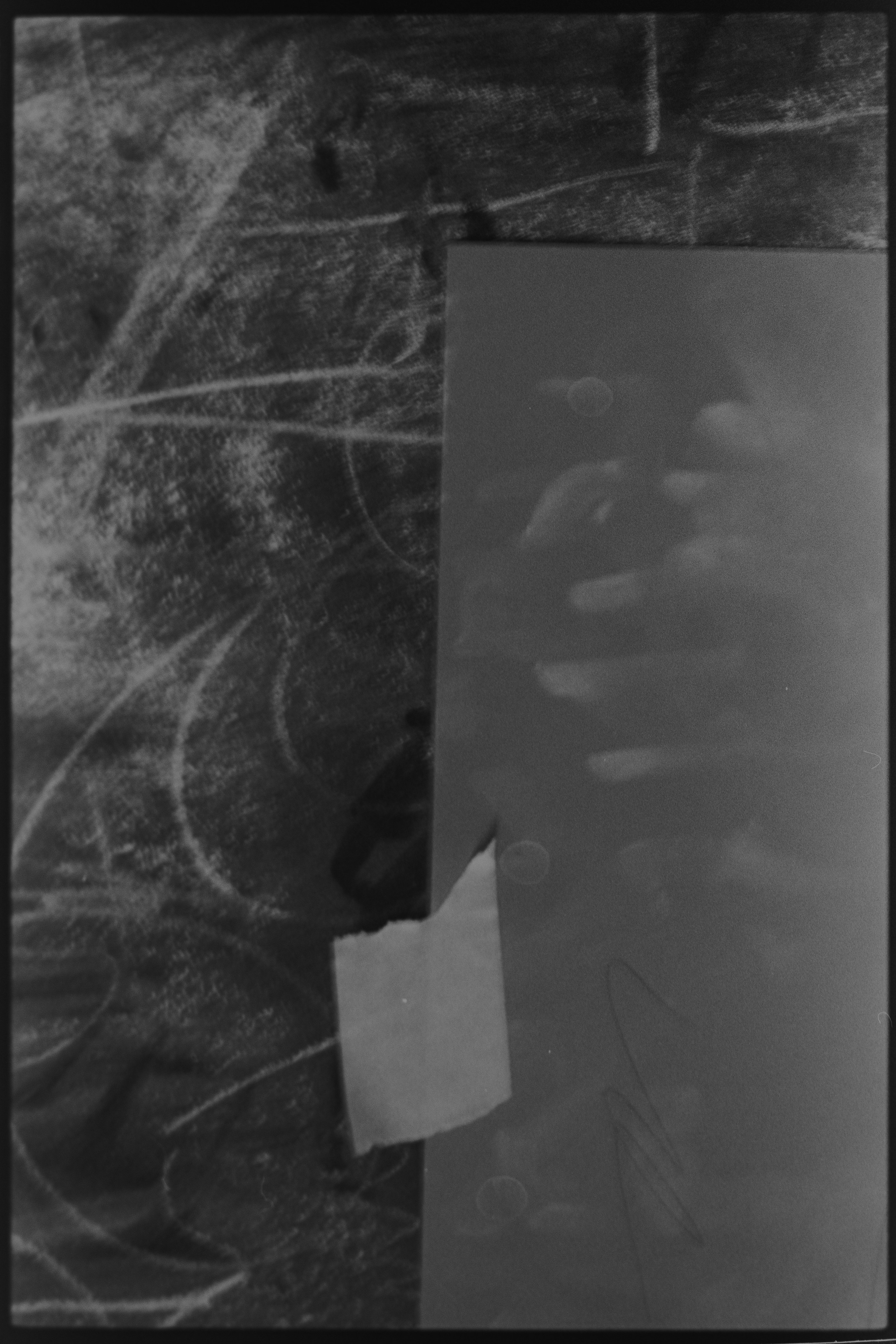 Veronika Verbitskaia | Visual Artist | Dublin