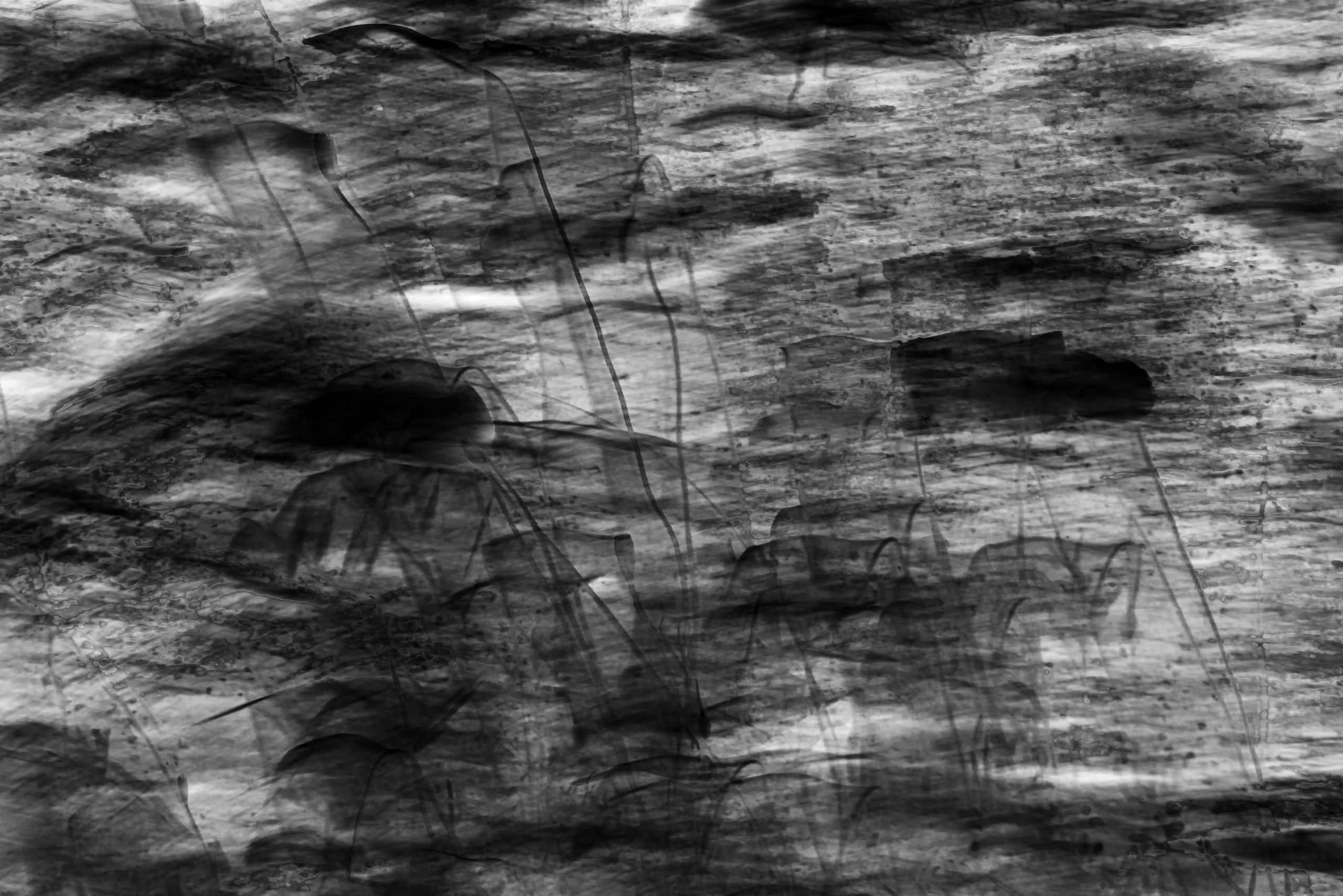 Veronika Verbitskaia | Visual Artist | Dublin