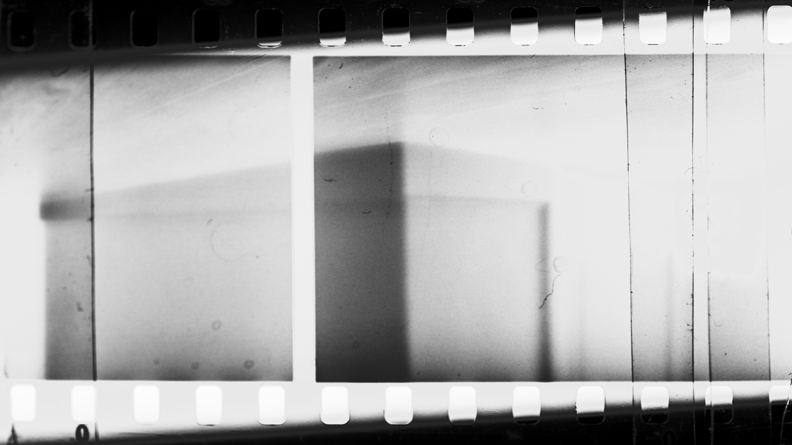 Veronika Verbitskaia | Visual Artist | Dublin