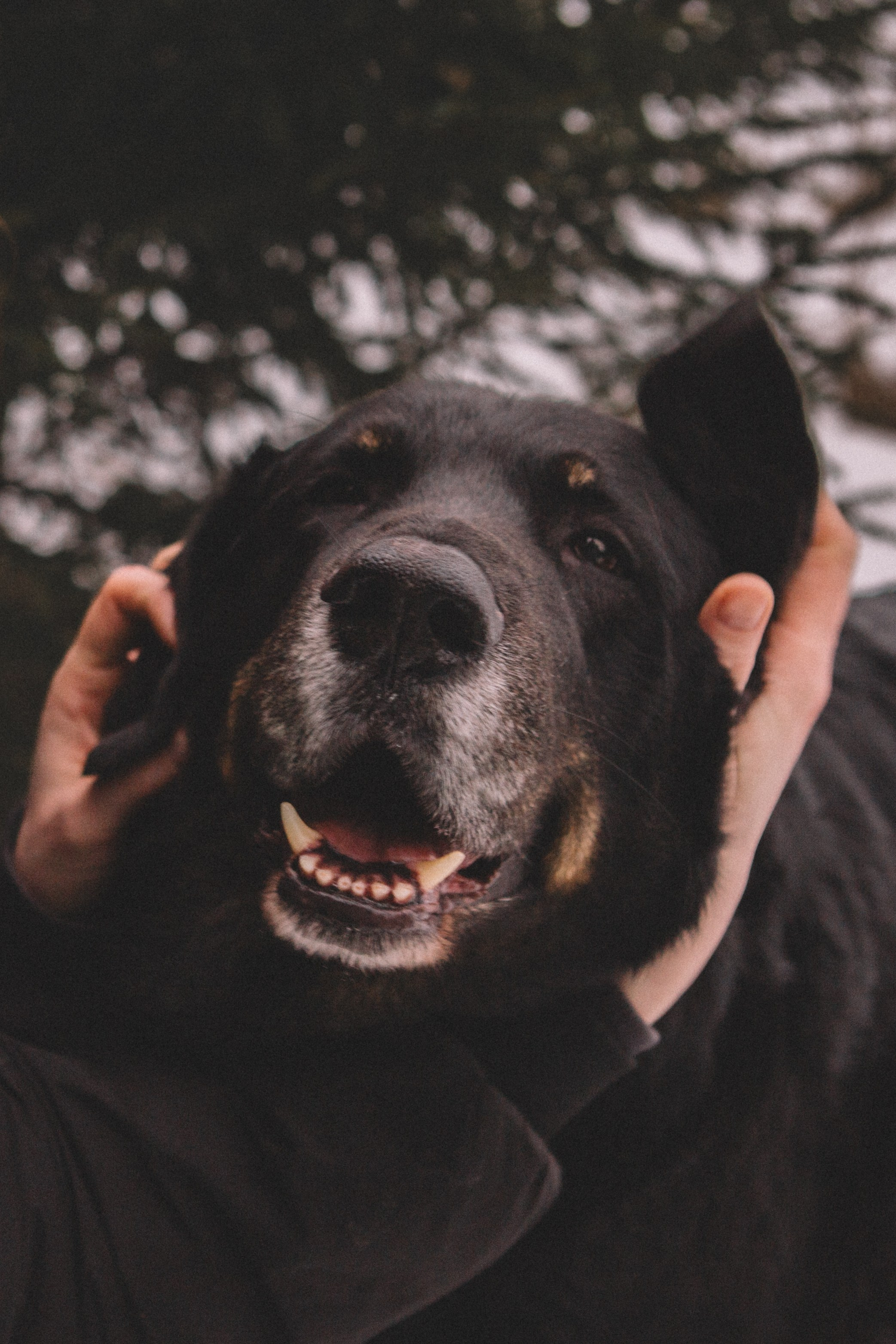 Alyona & Felix. Portrait, family and pet photographer in Cyprus, Ksenia Bourdelle
