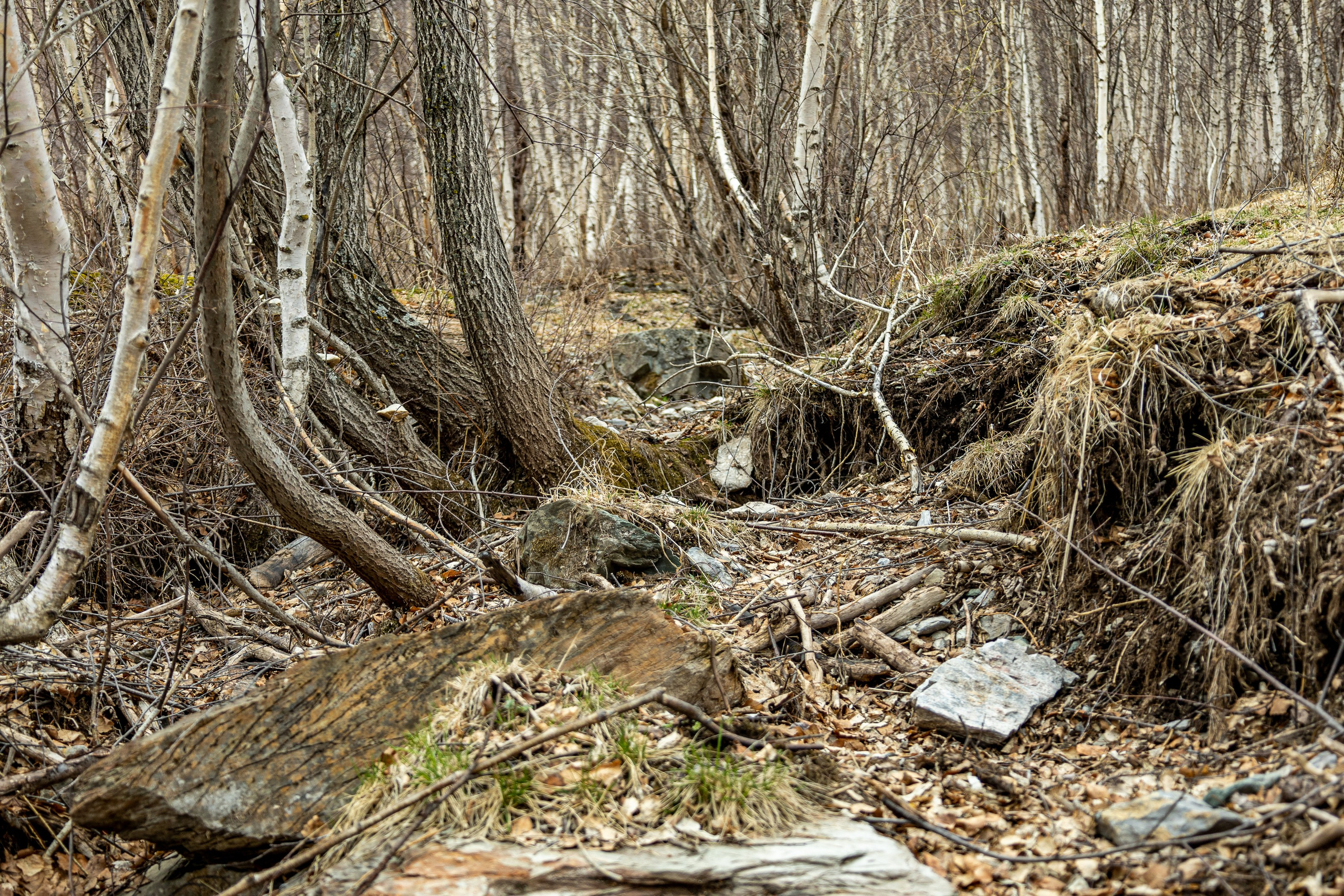 Майские в горах 2023. Gennady Travel