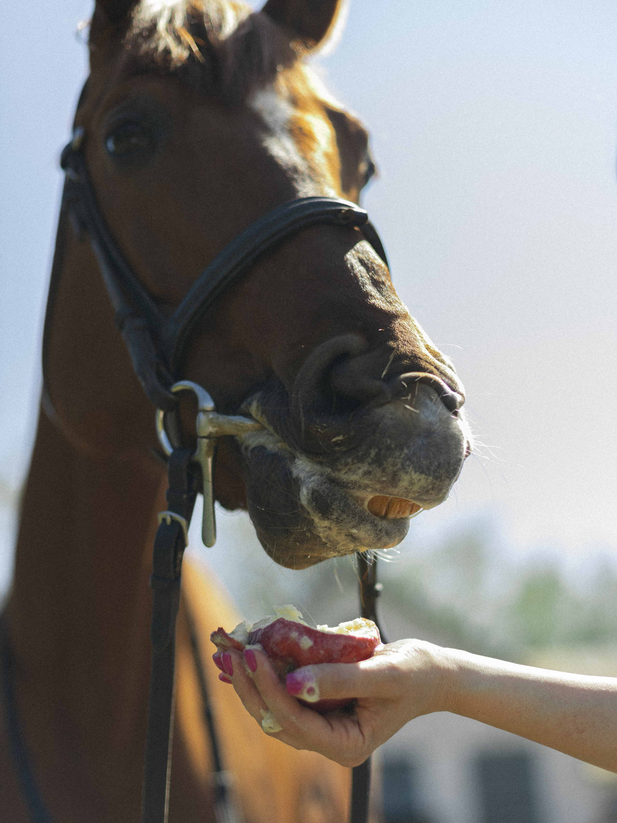 Таня и Фаня. Фотограф Евгения Счастливая, Нижний Новгород, Москва