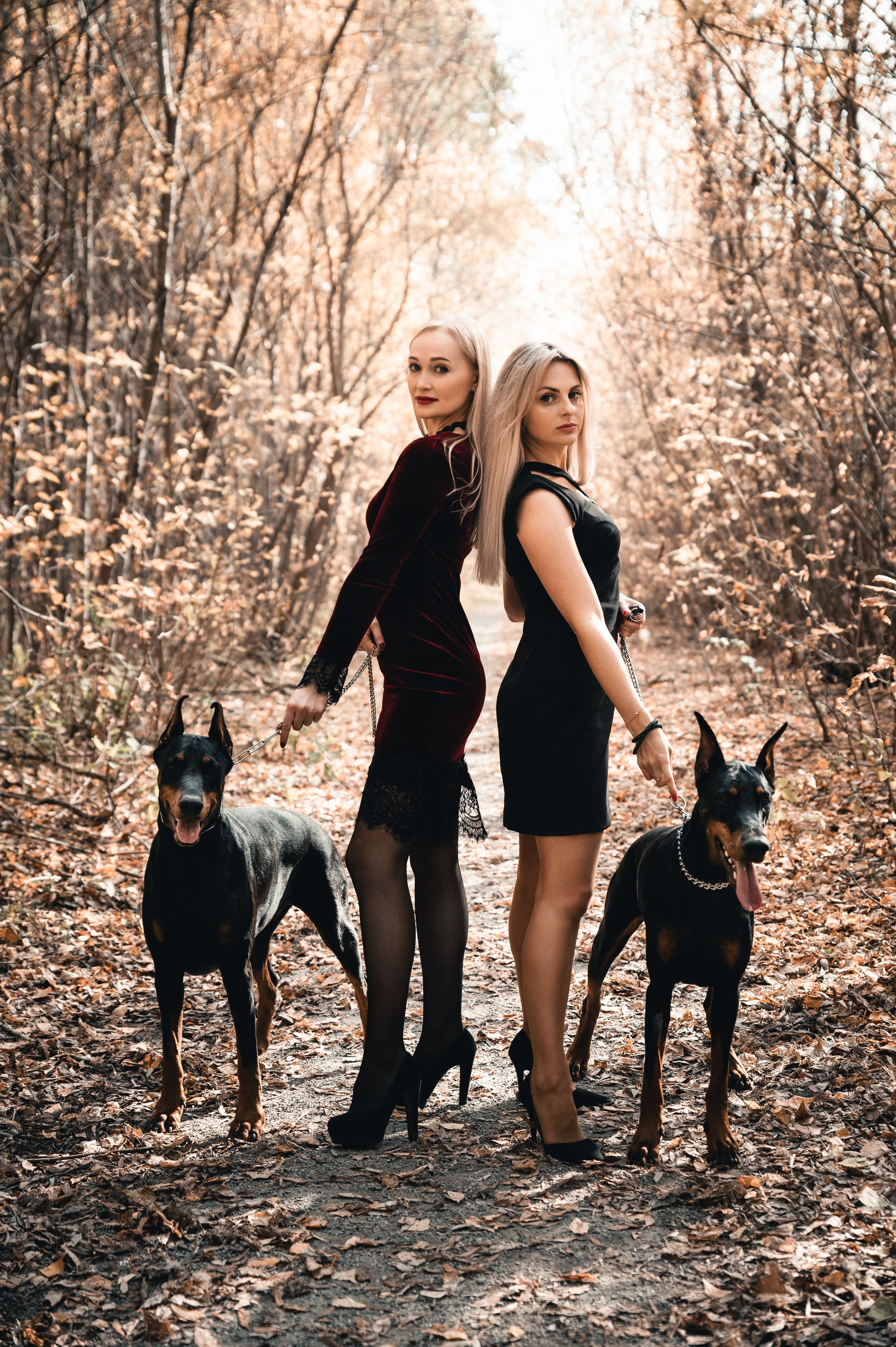 Съемка с доберманами. Фотограф в Новосибирске