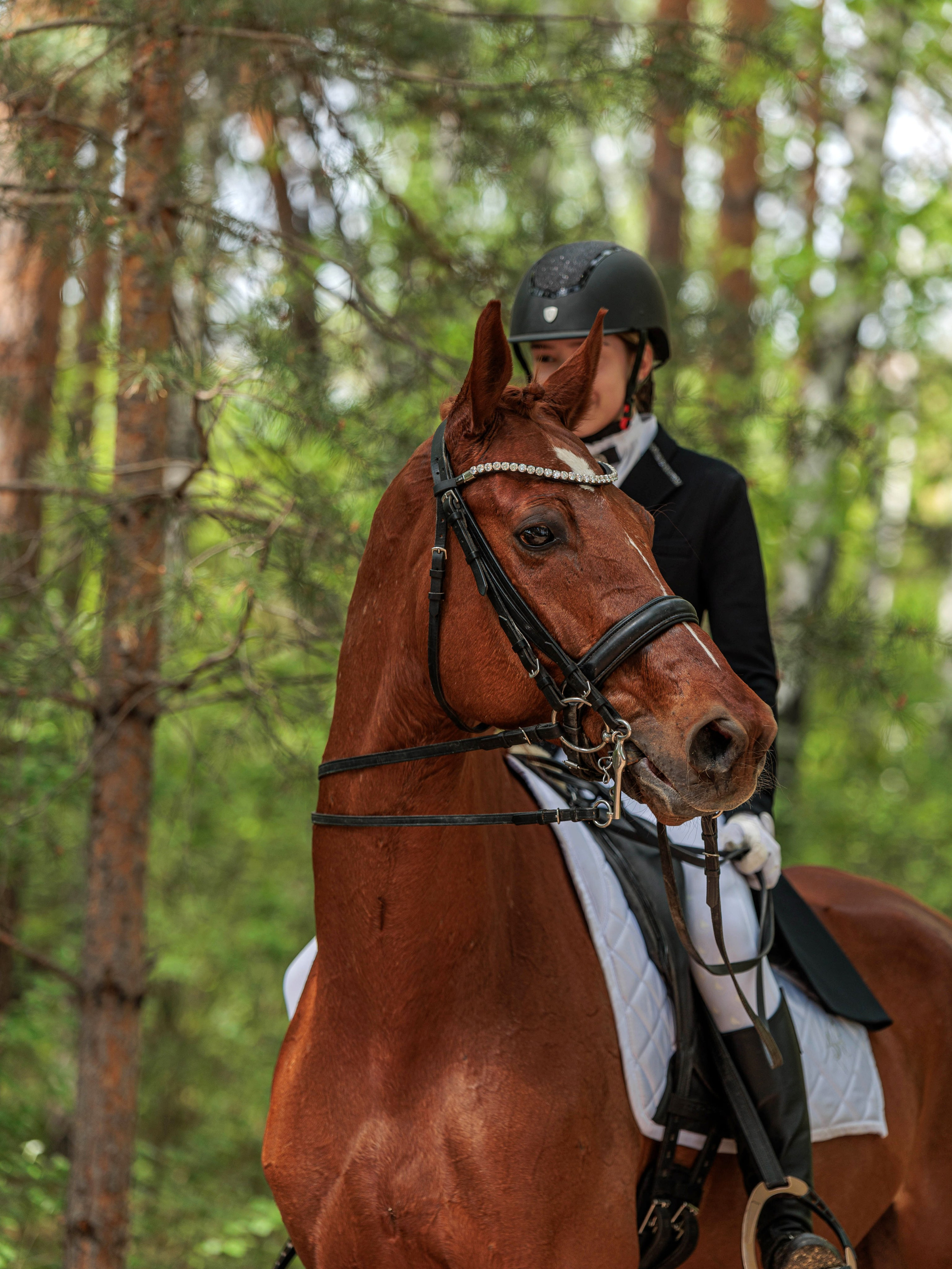2025. Конный фотограф в Красноярске — Любовь Похабова
