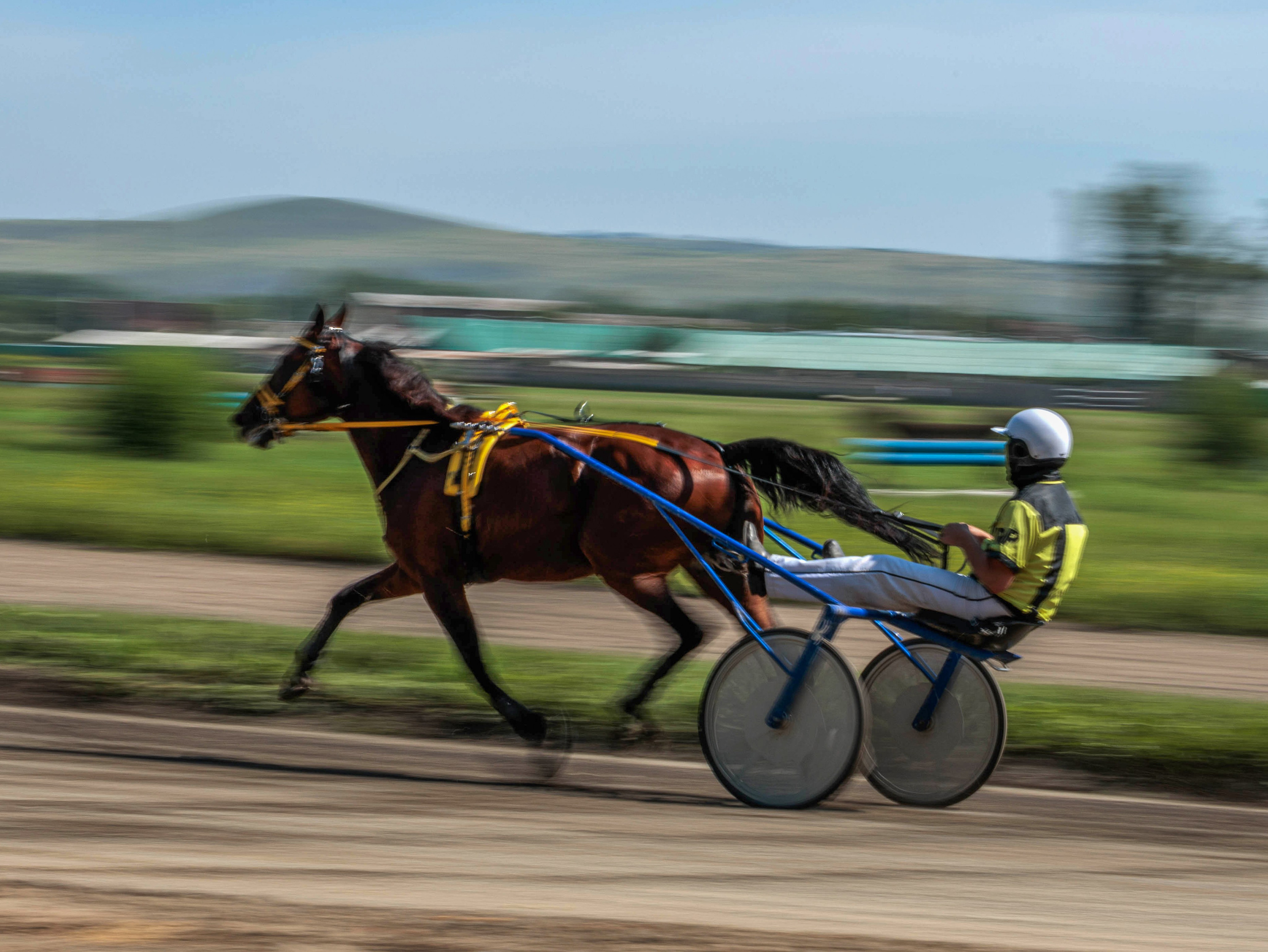 Зарисовки Абаканский ипподром 2025. Конный фотограф в Красноярске — Любовь Похабова