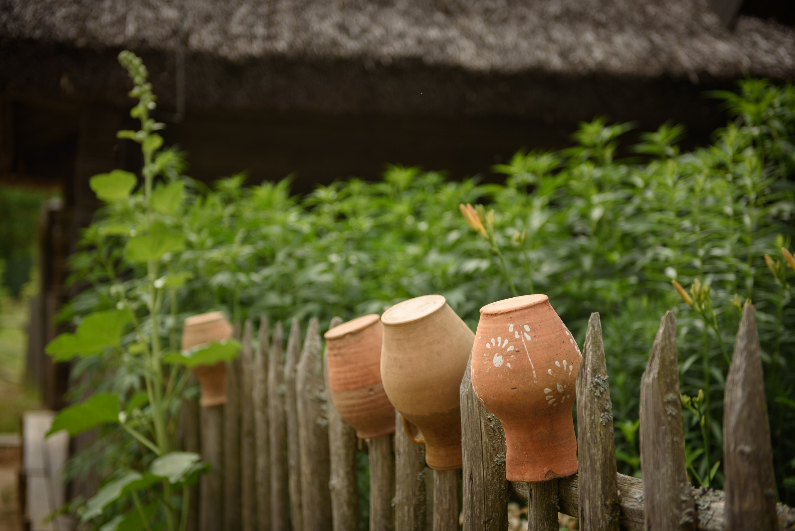 Прогулка по Минску. Анна Боровикова, фотограф Пушкино