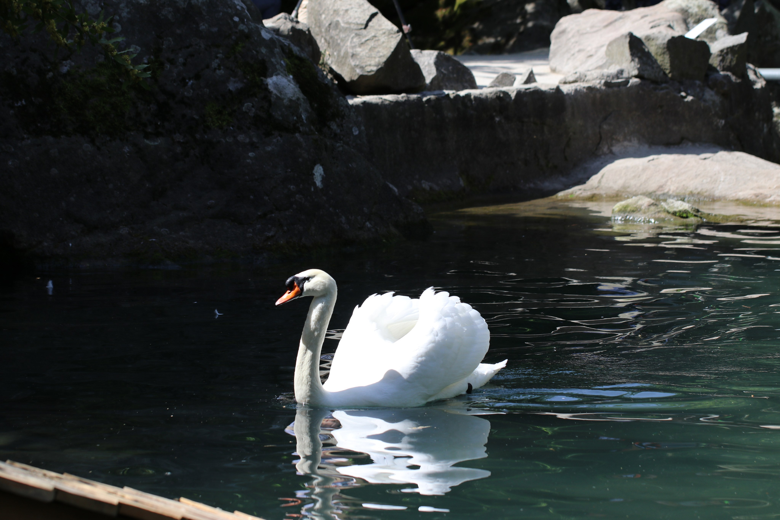 Крым. ЮБК (Бахчисарай, Кастрополь, Таракташская тропа). Май 2021. Путешественник-фотограф из Санкт-Петербурга Татьяна Свистулина
