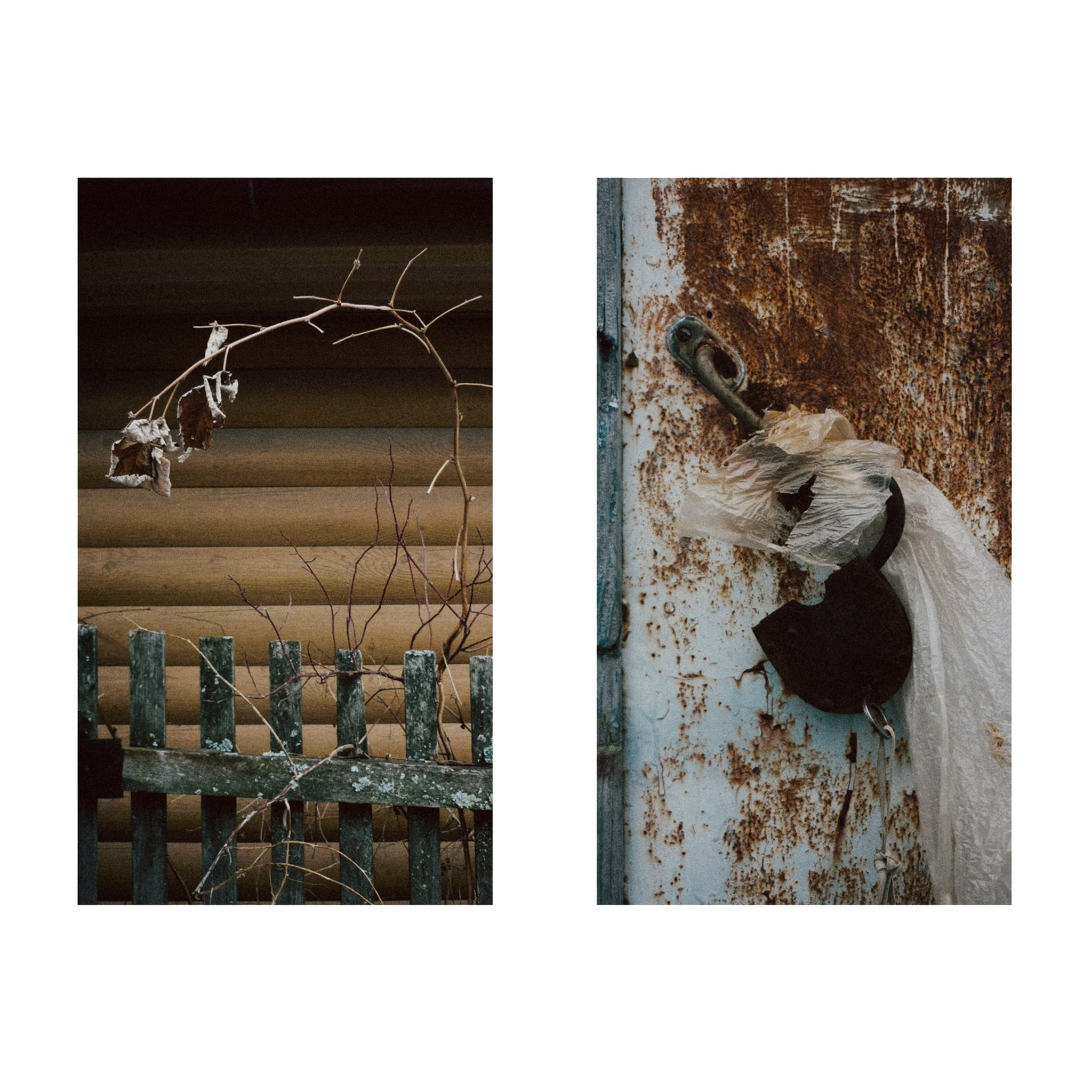 Художественная фотосессия в стиле Ню в Тюмени — Лунная — Дарья Мустафина. Фотограф Дарья Мустафина, Тюмень