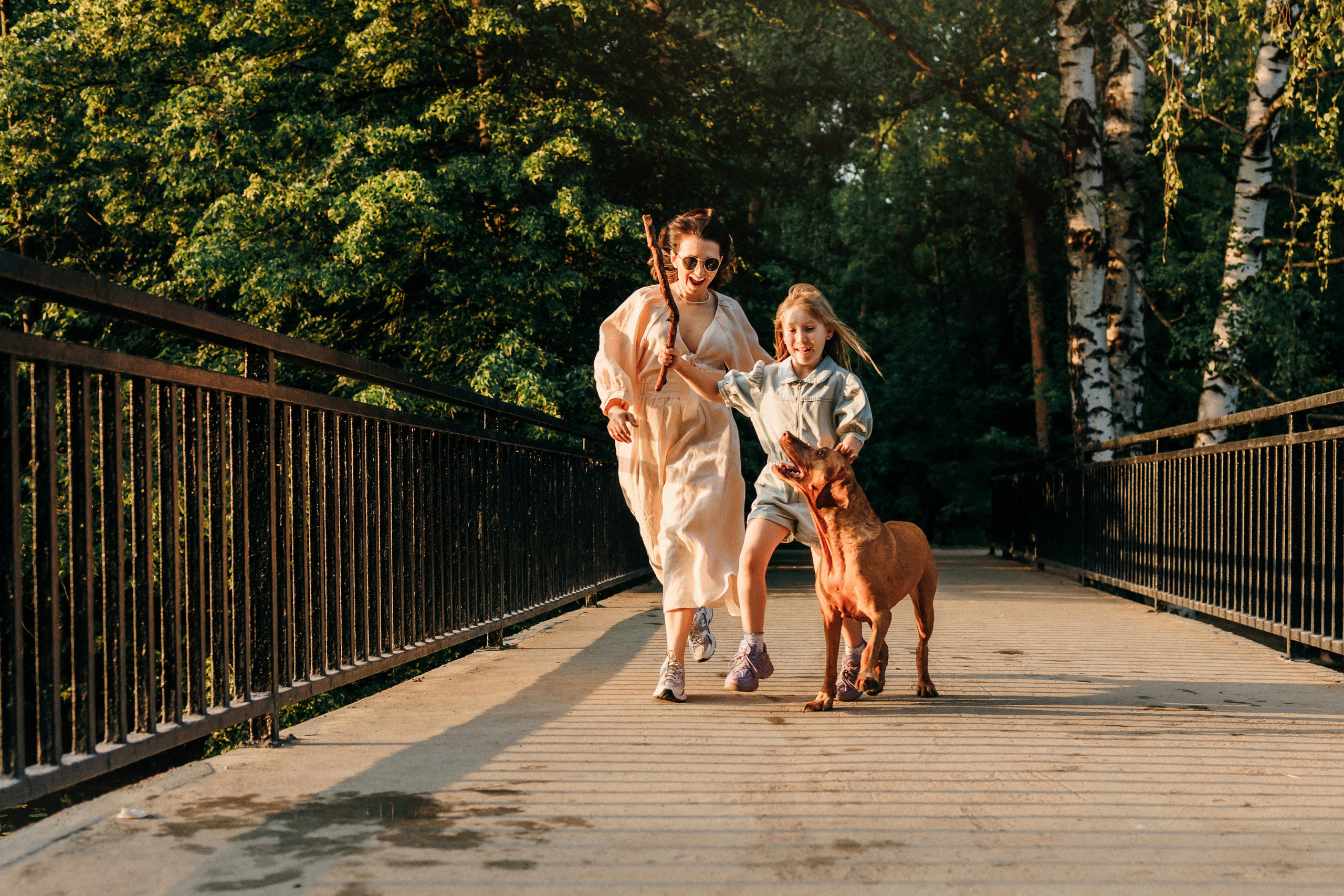 Марина, Глеб, Мая и Чили. Фотограф-анималист Елена Радченко, Москва